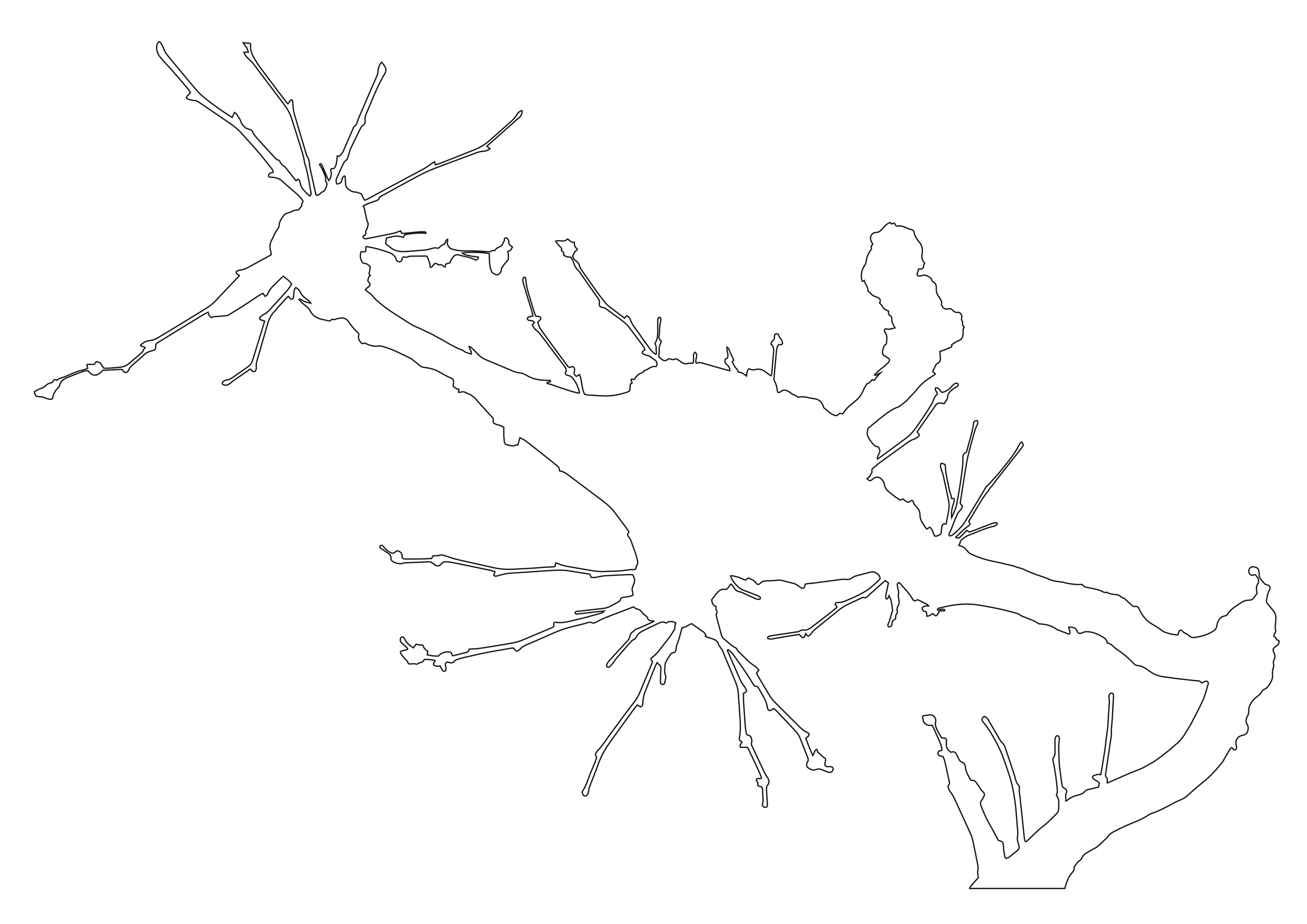 Platanenast Kontur