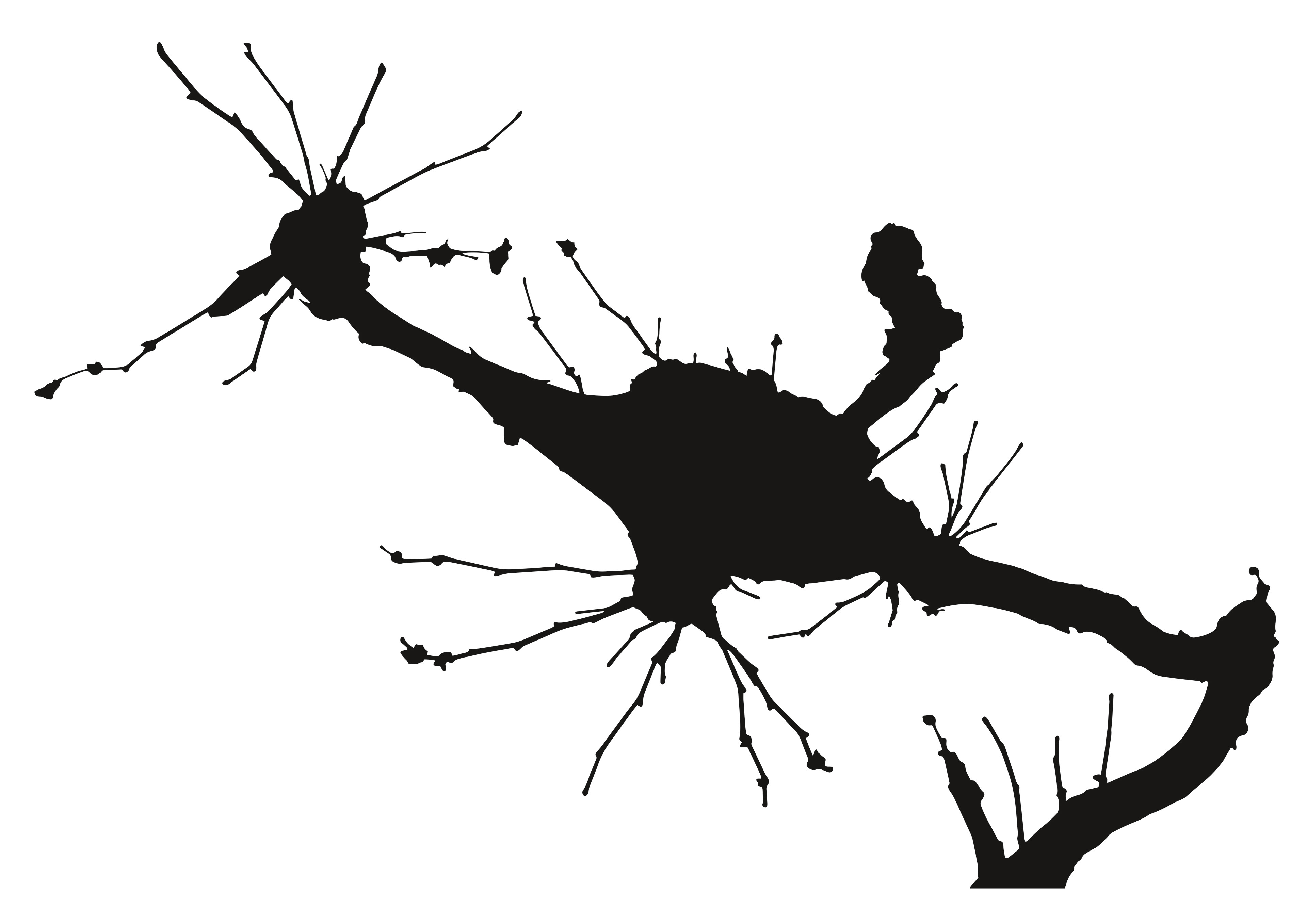 Platanenast Fläche