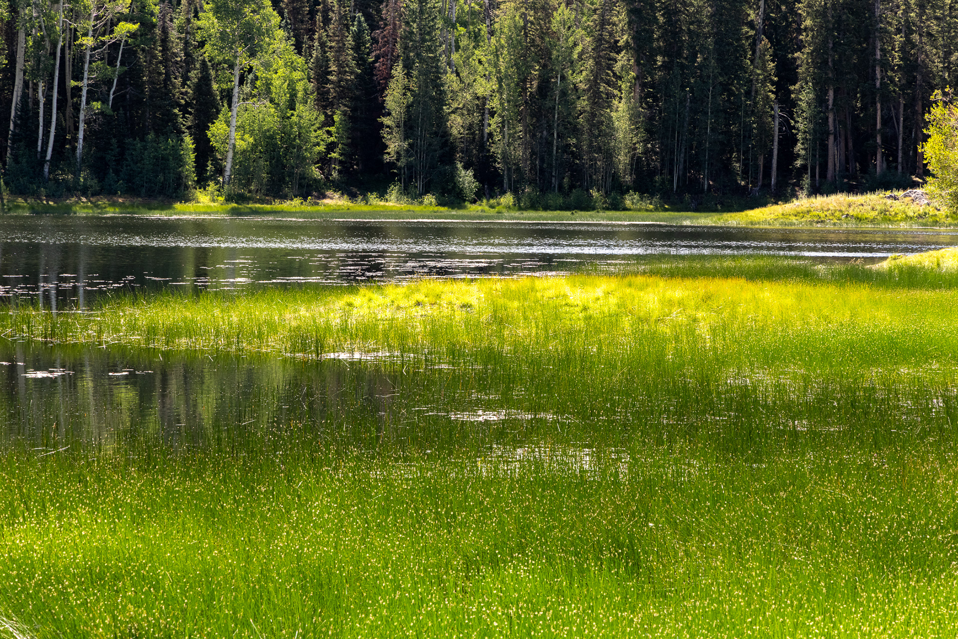 Buckhorn Lakes