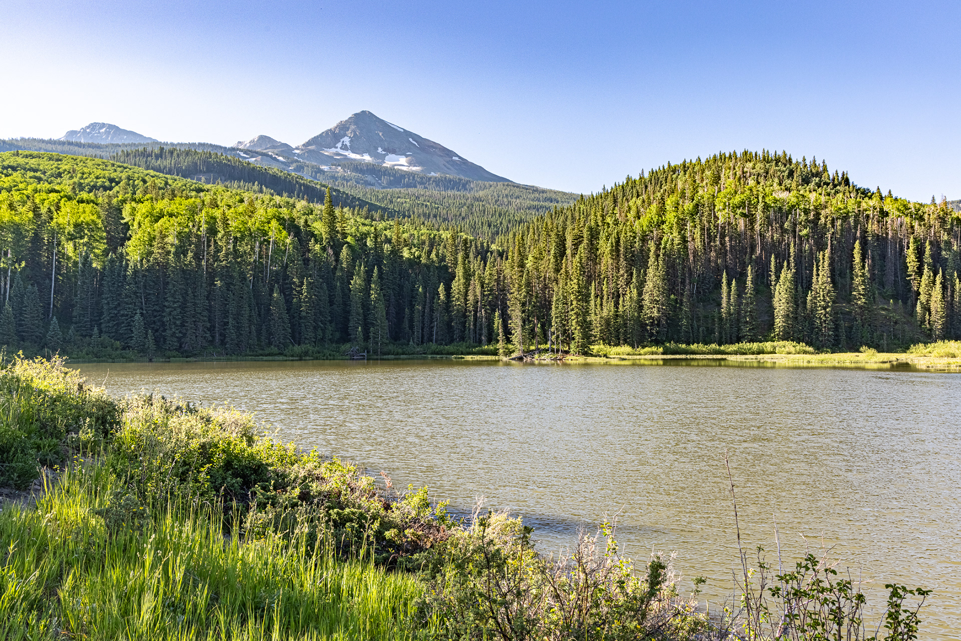Woods Lake Wildlife Area