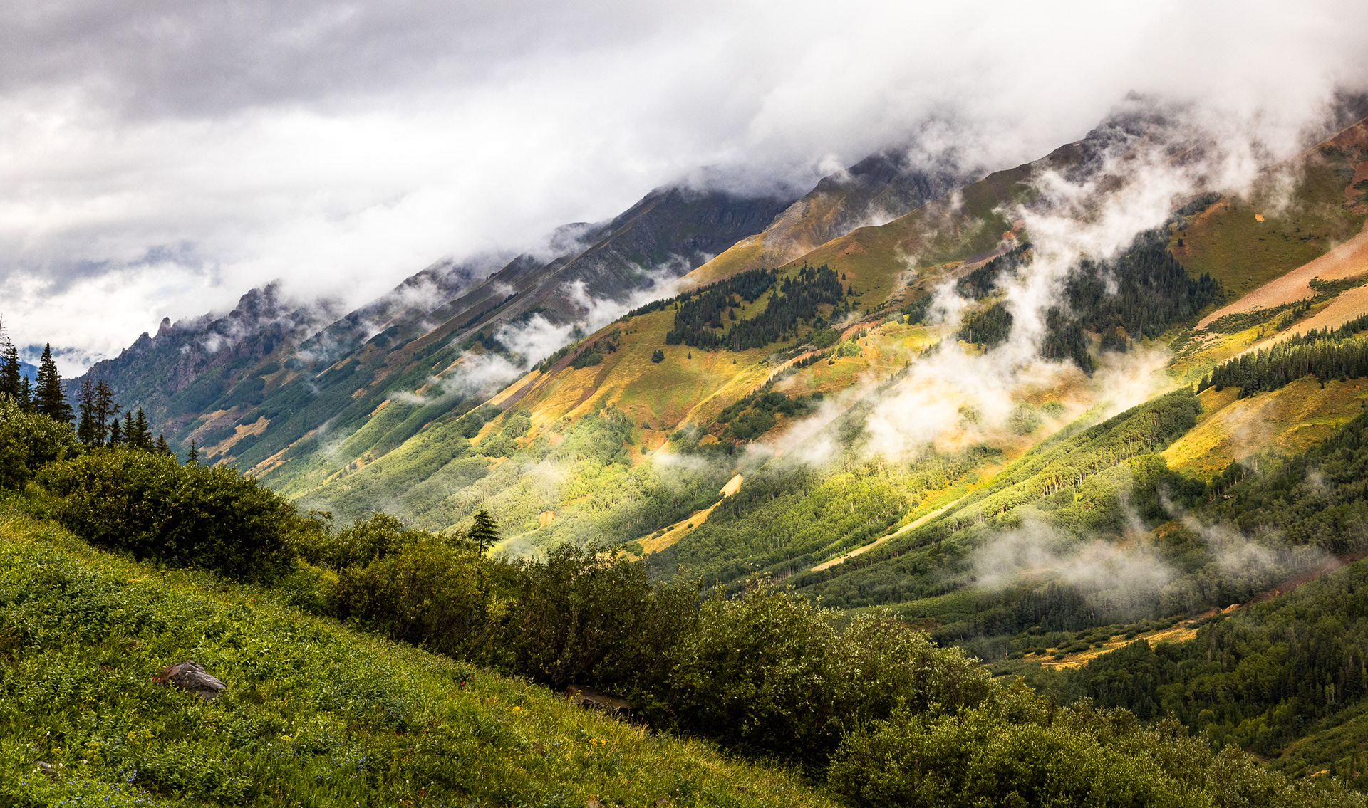 Ophir Pass, late August