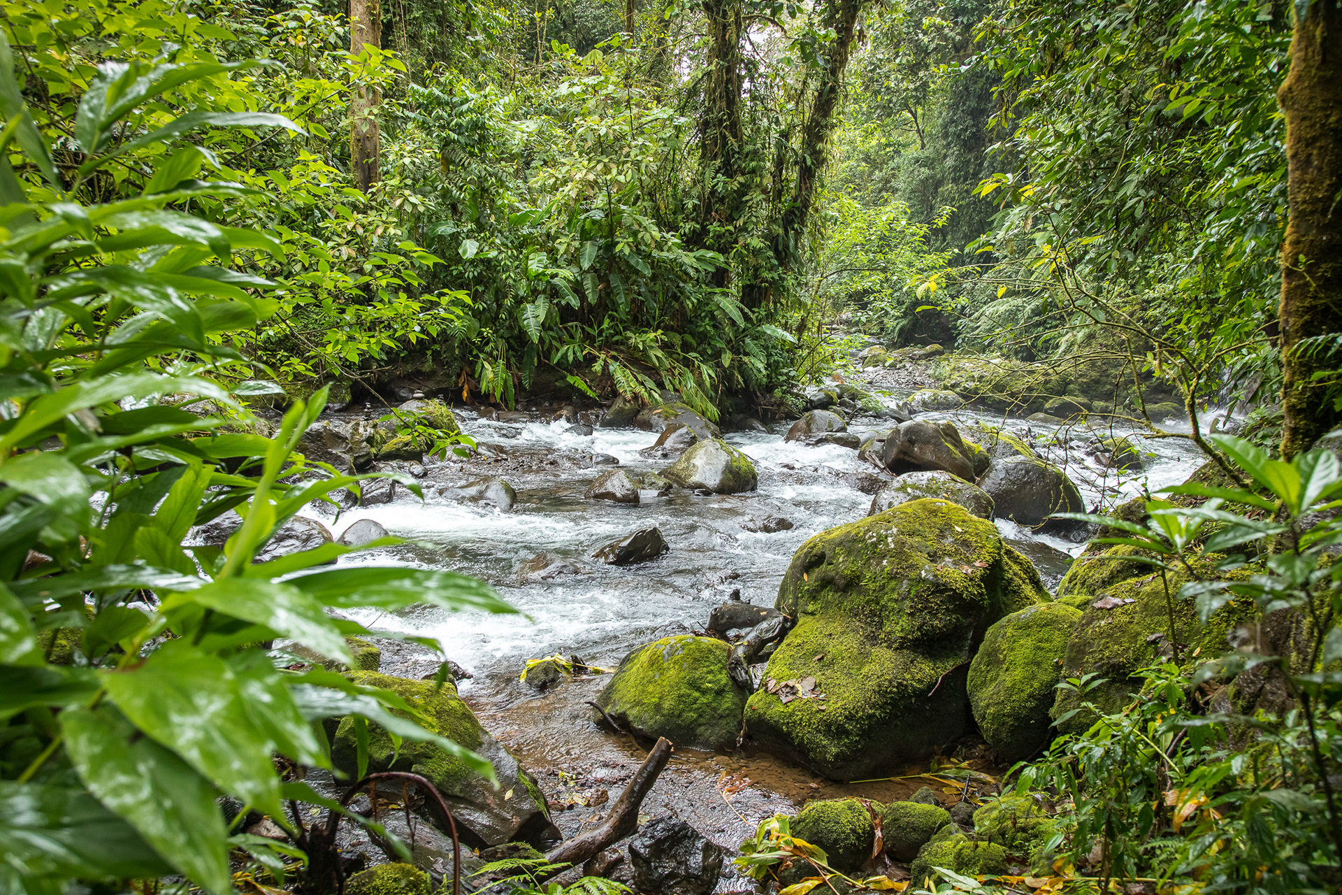 La Paz River
