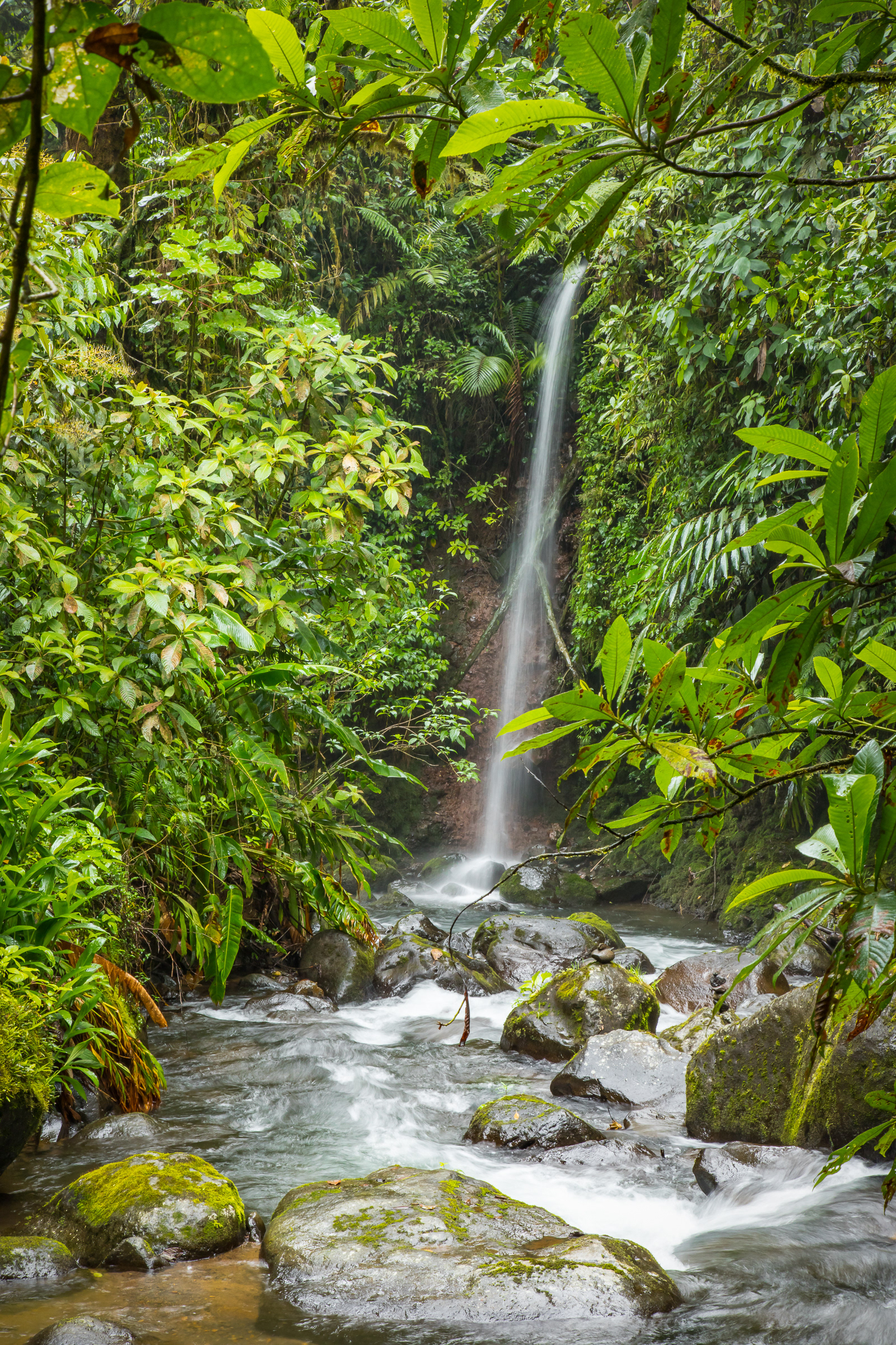 La Paz Waterfall