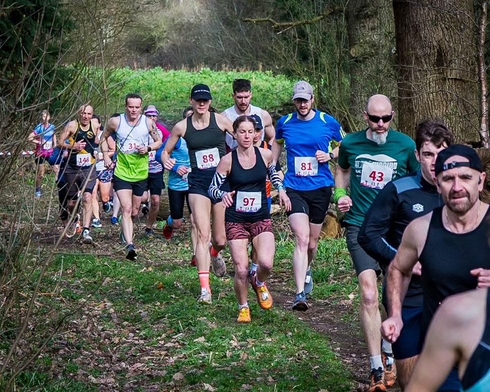 Bib 31, 43, 81, 88, 97, 148