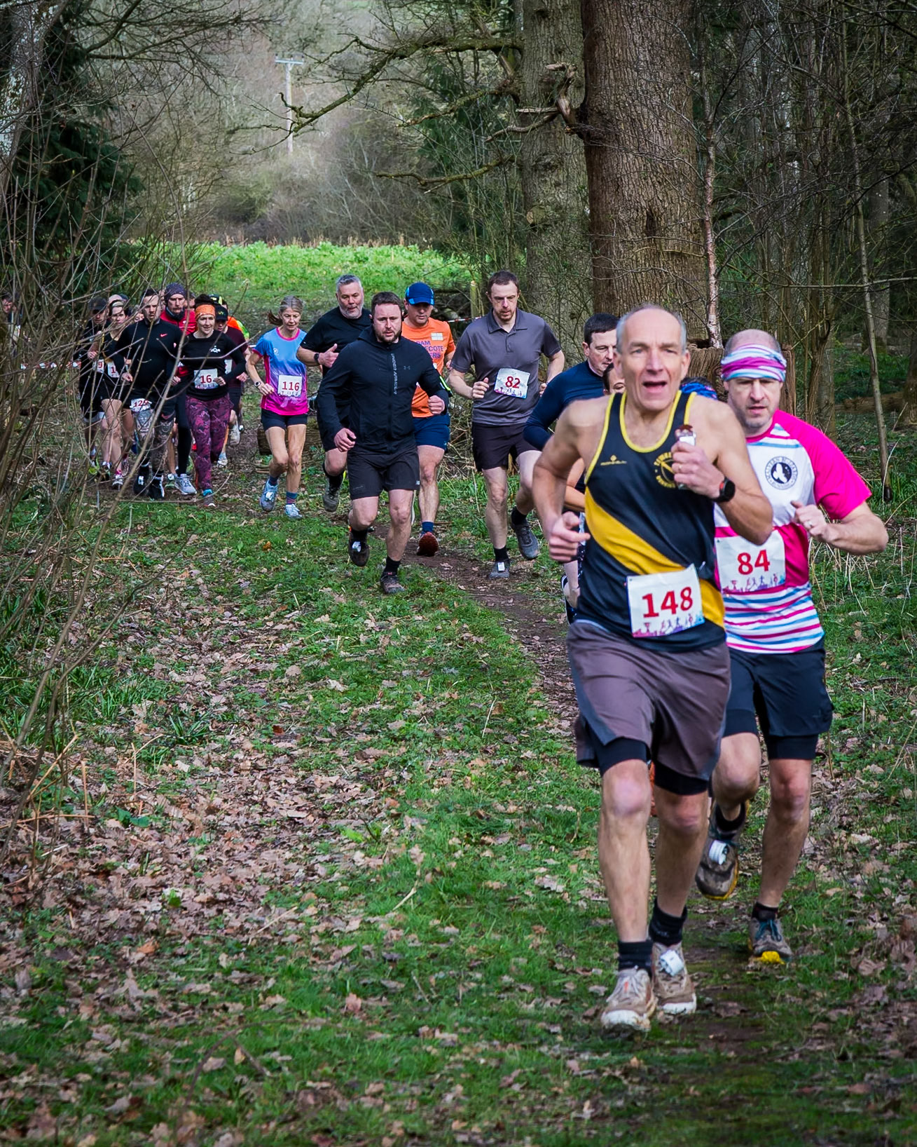 Bib 16, 82, 84, 116, 148