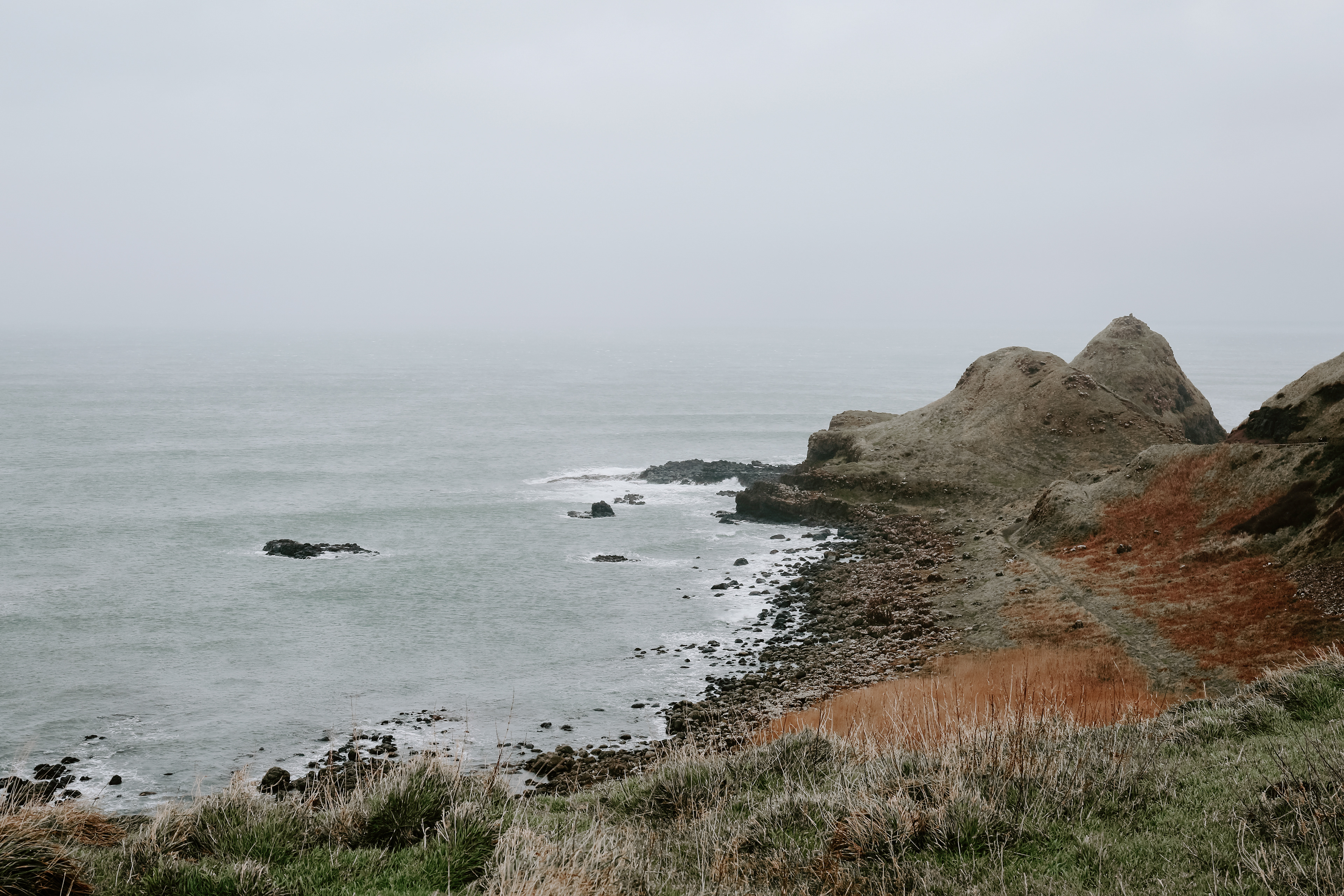 Giant's Causeway Coast, Northern Ireland, 2020.