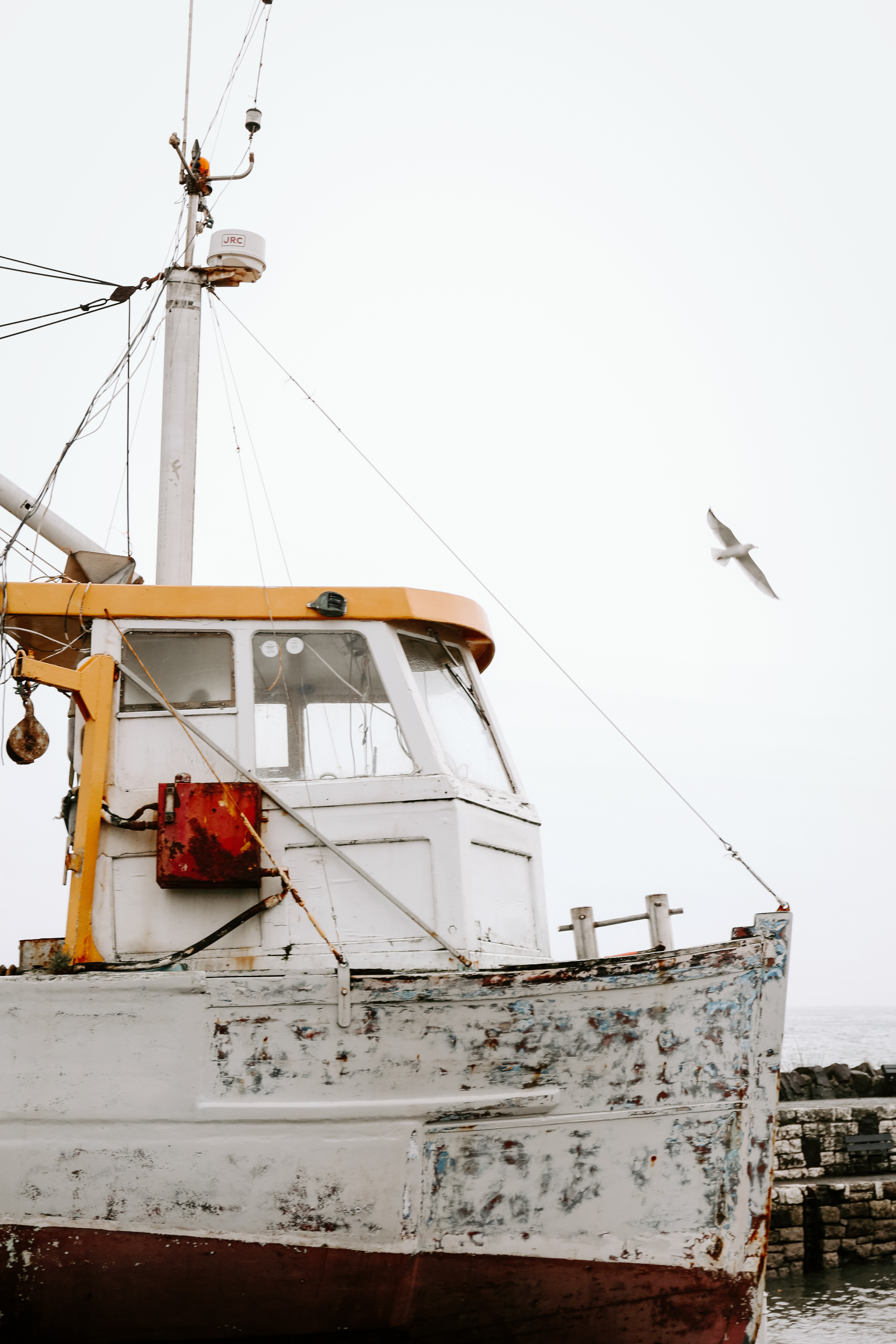 Howth, Ireland, 2020.