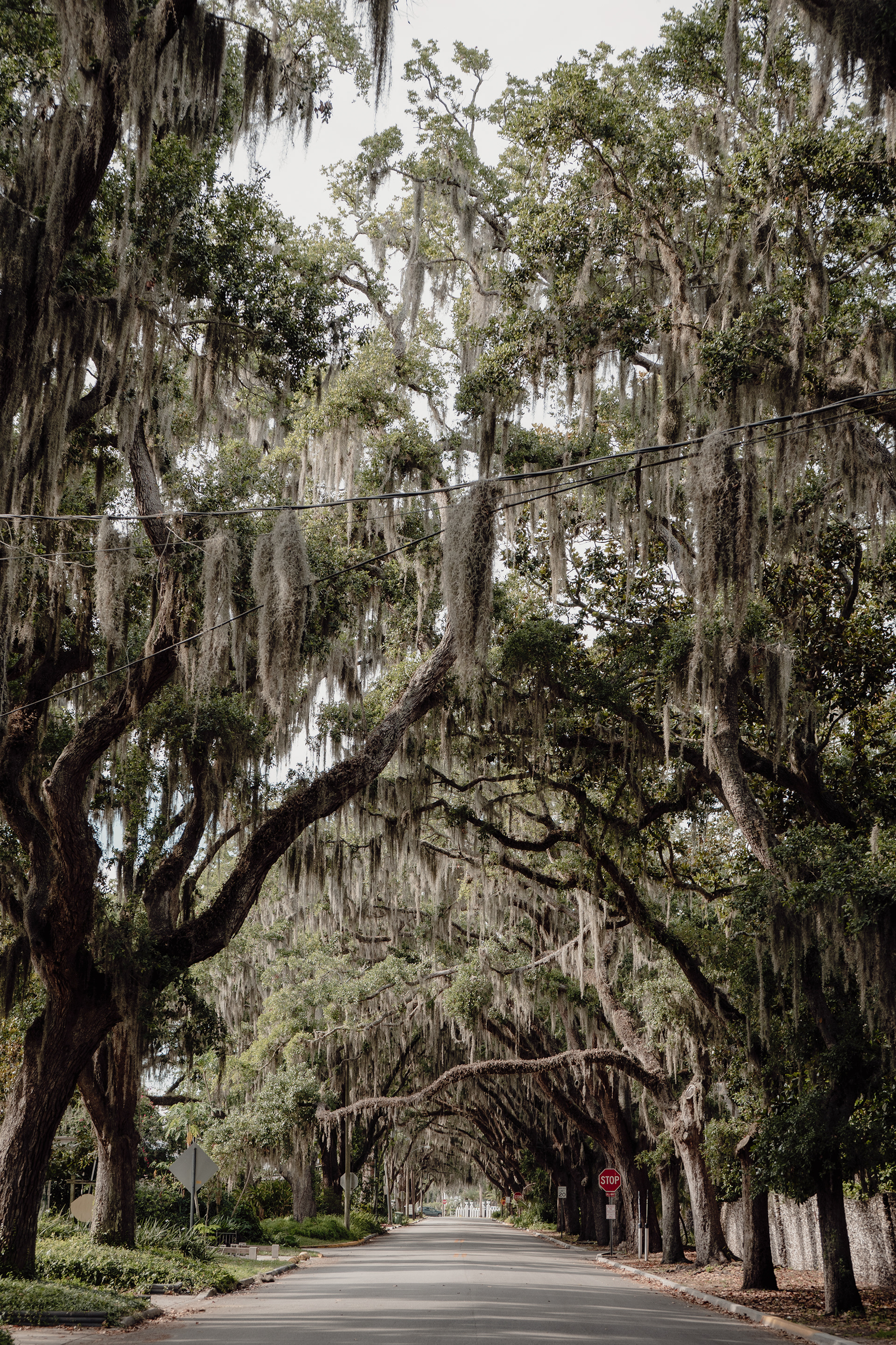 St. Augustine, Florida, 2022.