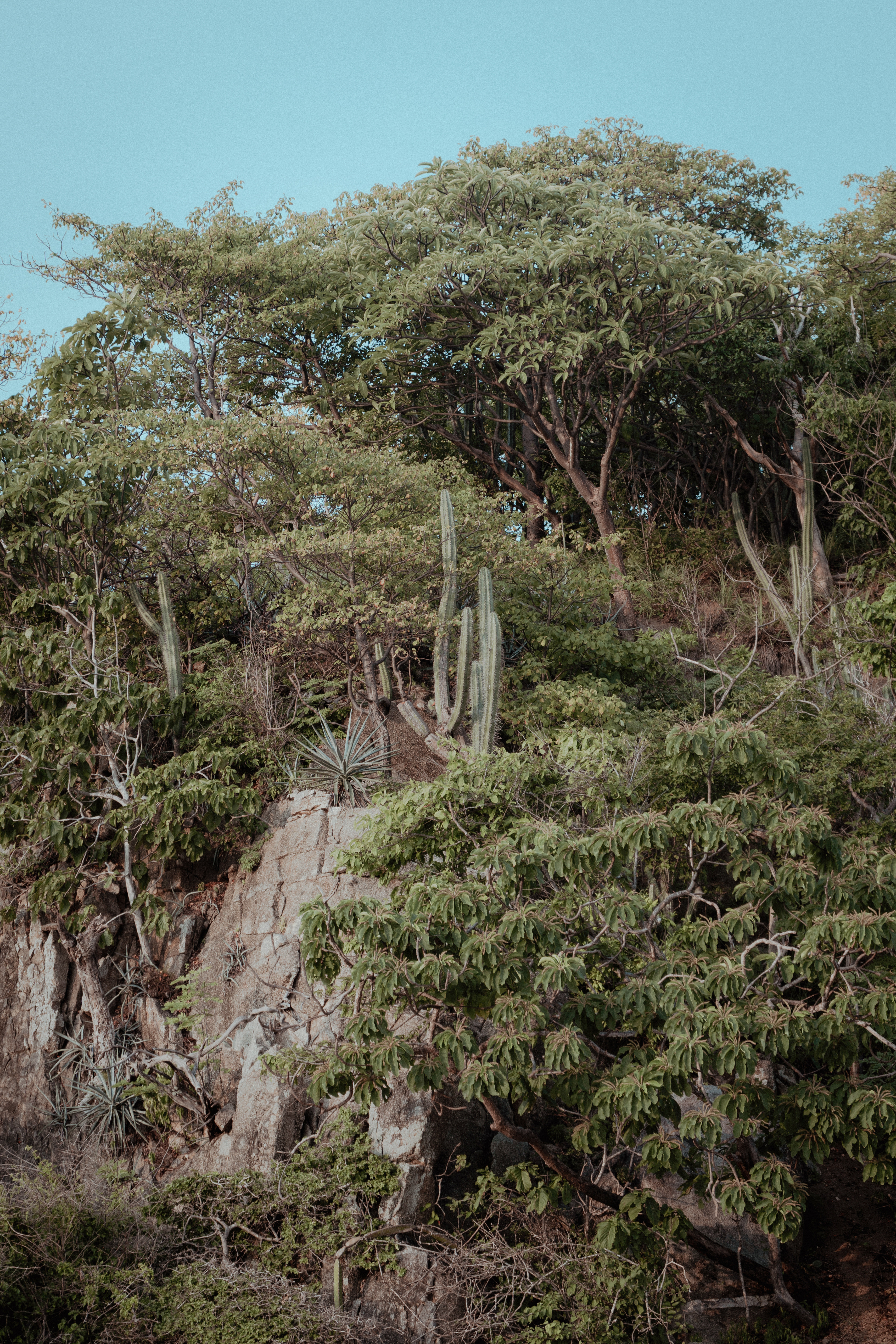 Huatulco, Mexico, 2022.