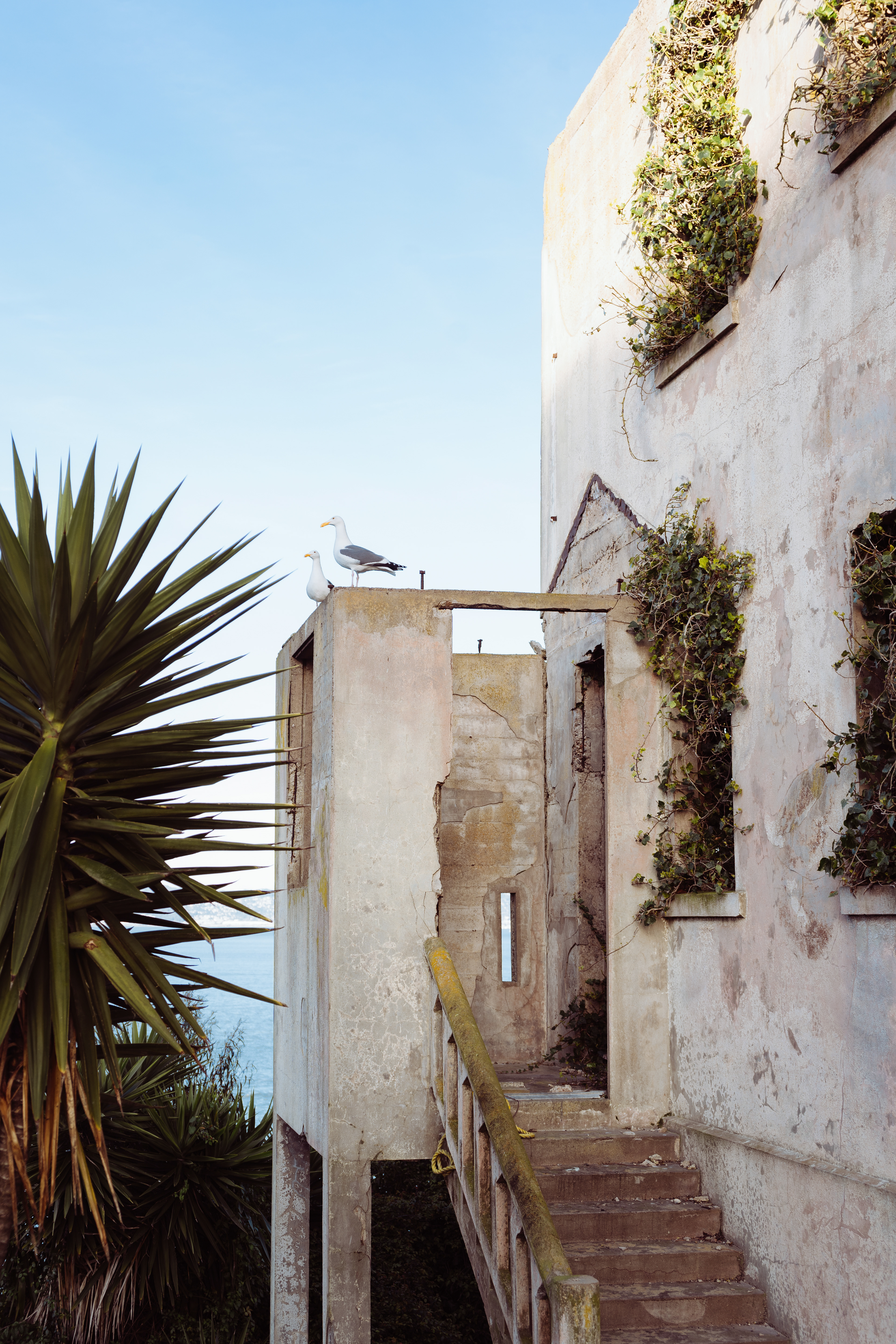 Alcatraz, San Francisco, California, 2023.