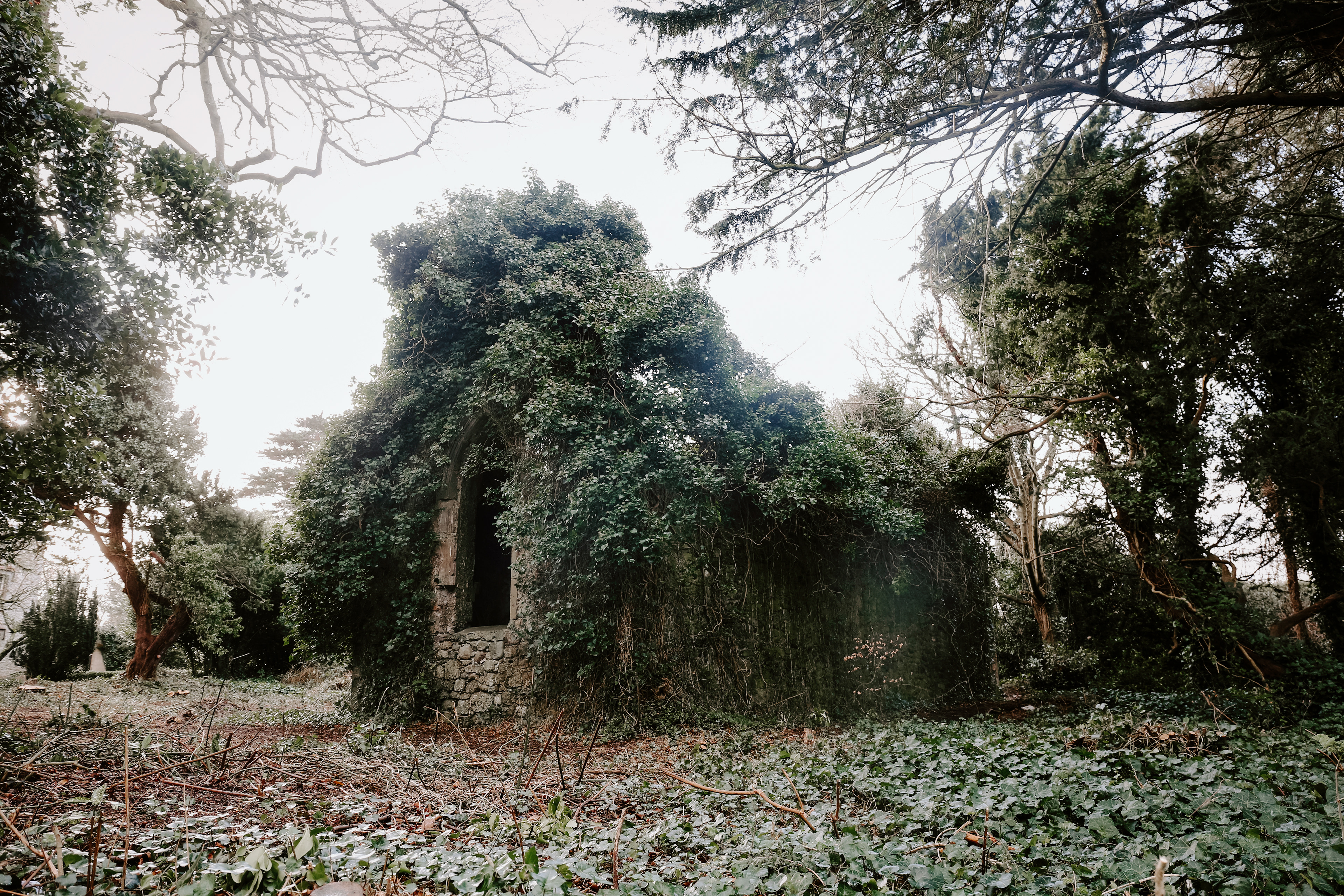 Dublin, Ireland, 2020.