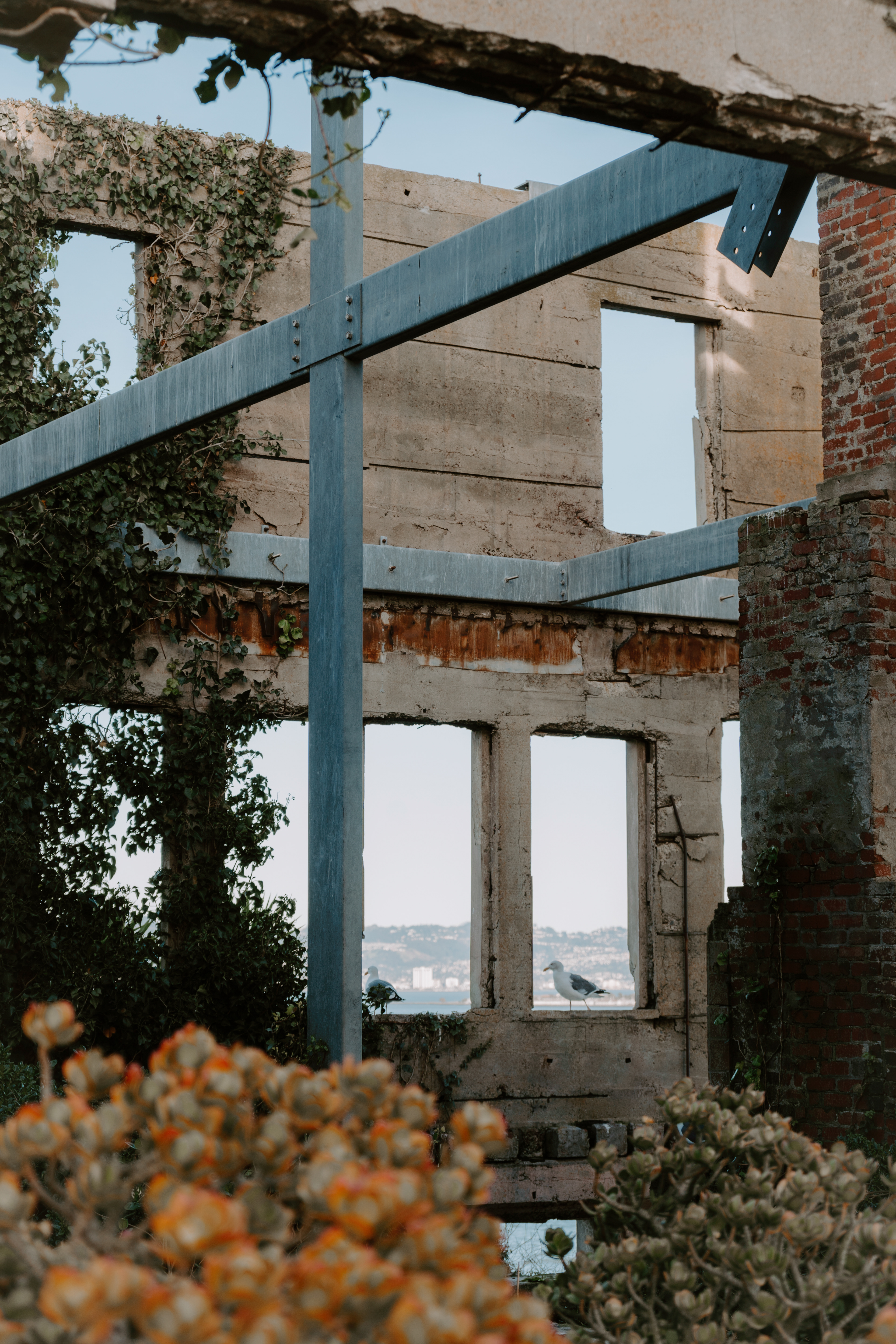 Alcatraz, San Francisco, California, 2023.