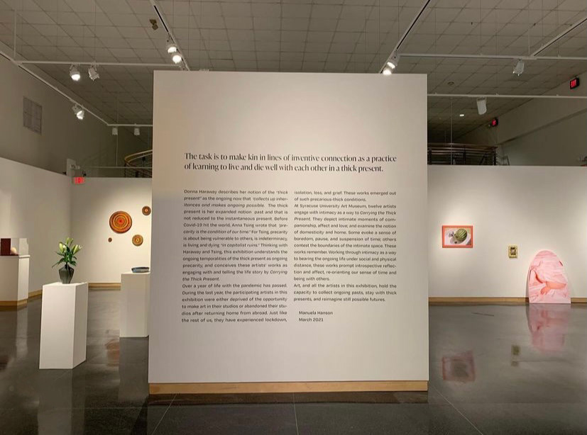 Curatorial statement written by Manuela Hanson