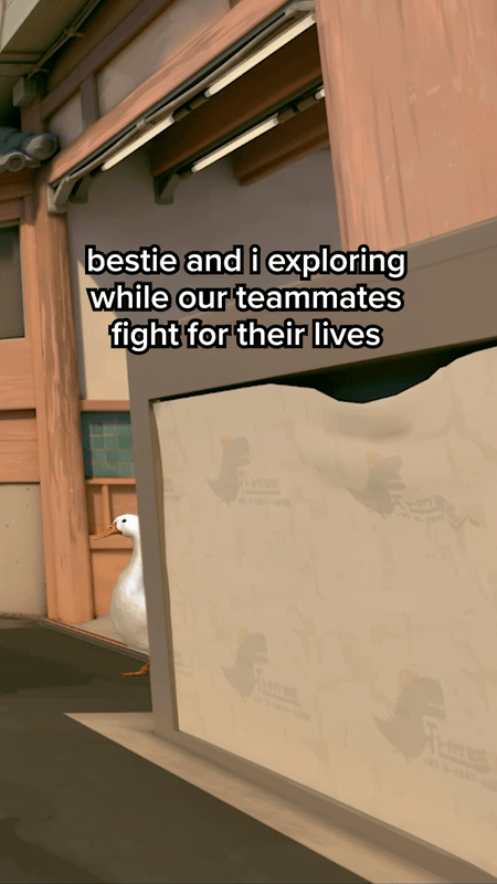 [VALORANT] Tiktok post