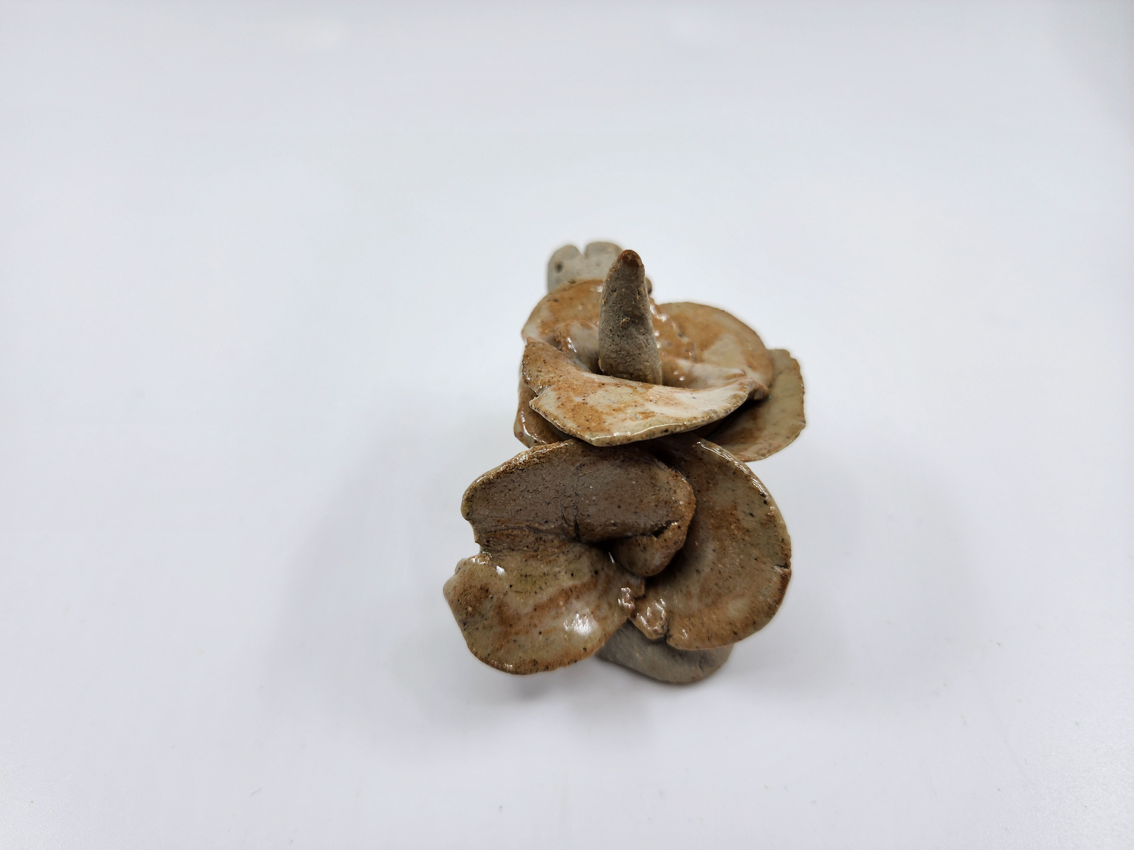 Corpse Flower Snail-Stoneware Cone 10