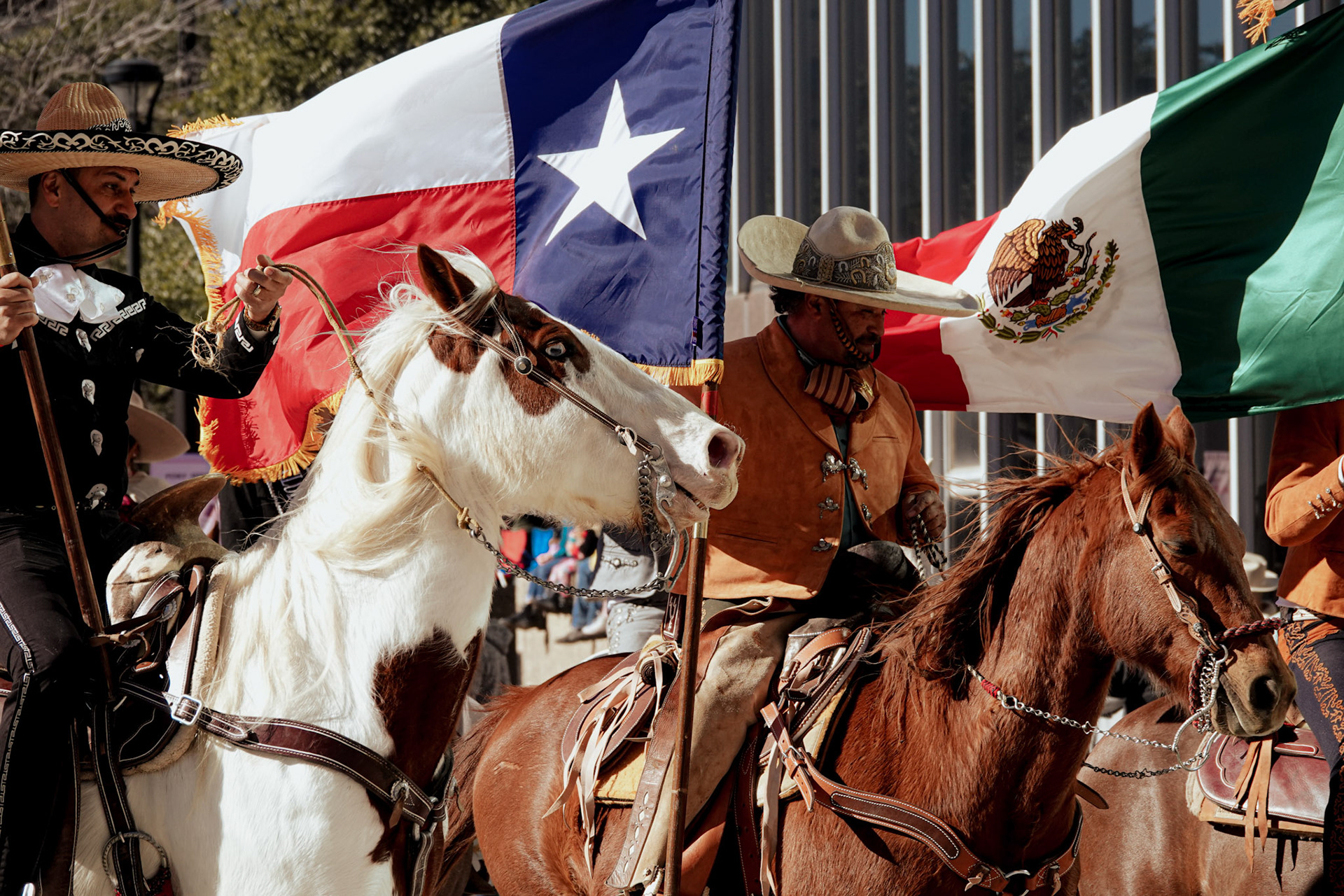 Stockshow Parade