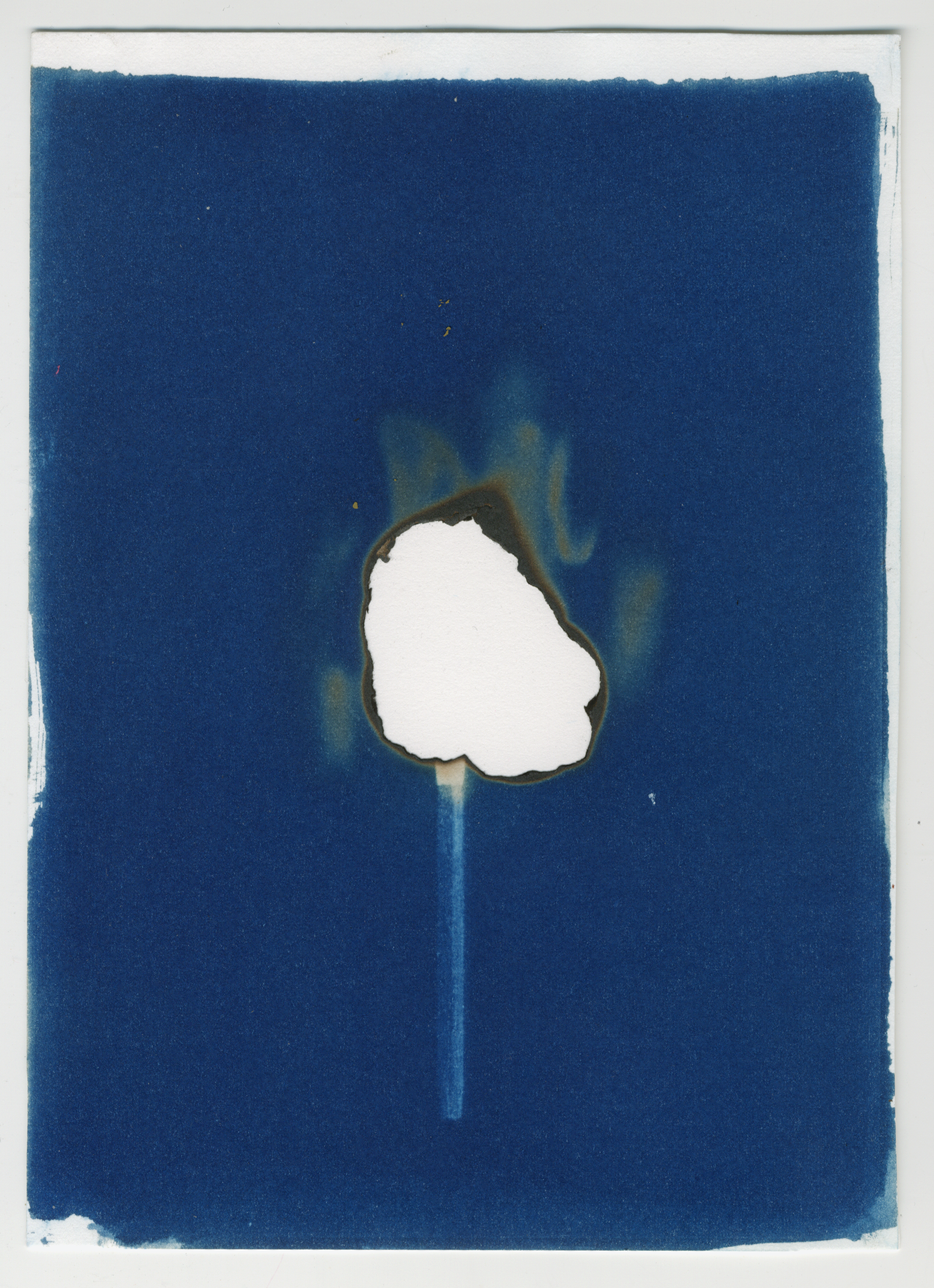 Ignite 4, 2023, 5x7", burnt cyanotype
