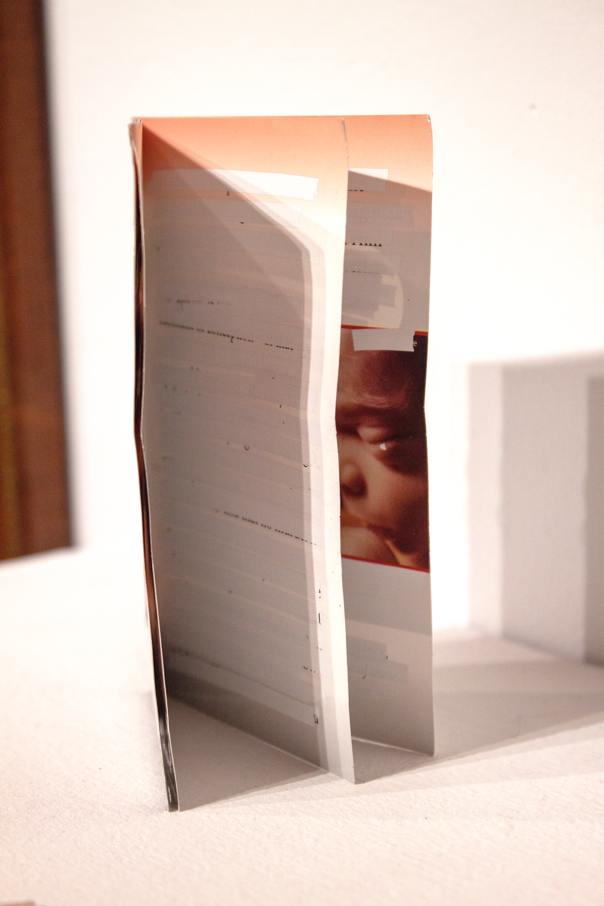 Redacted Pro-Life Pamphlets detail