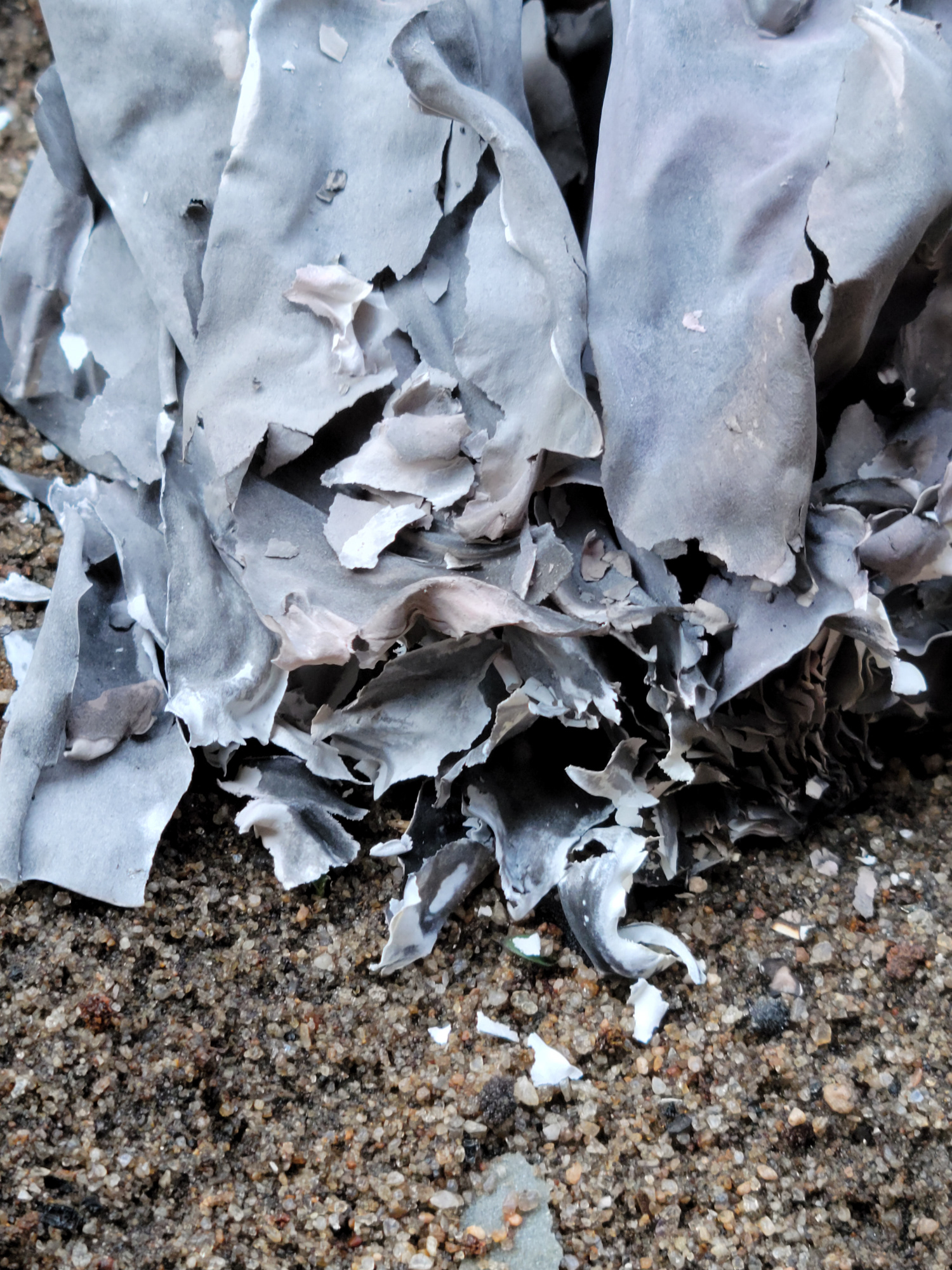 Burn Book, 2021, still from video.