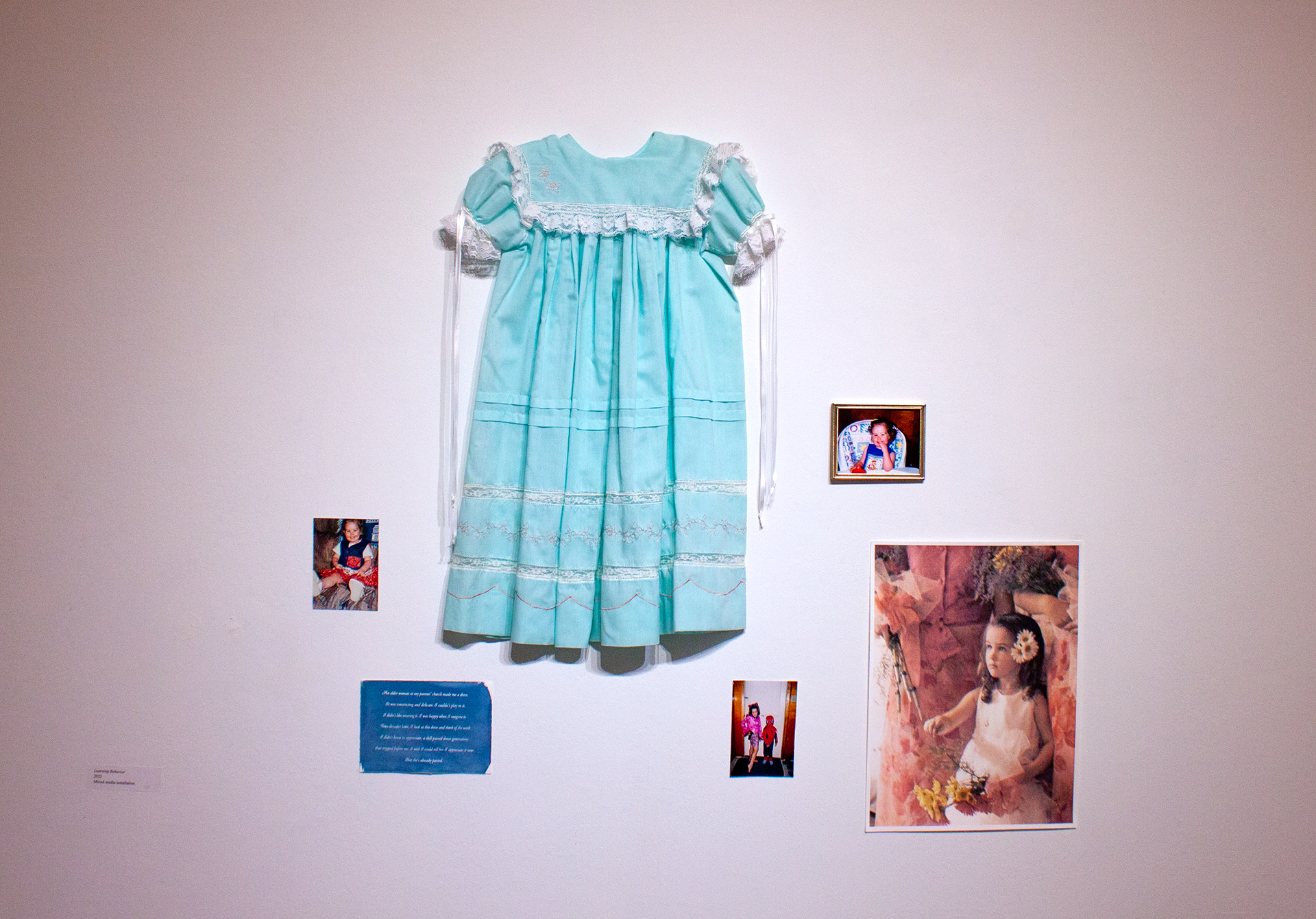 Learning Behavior, 2023, mixed media installation
