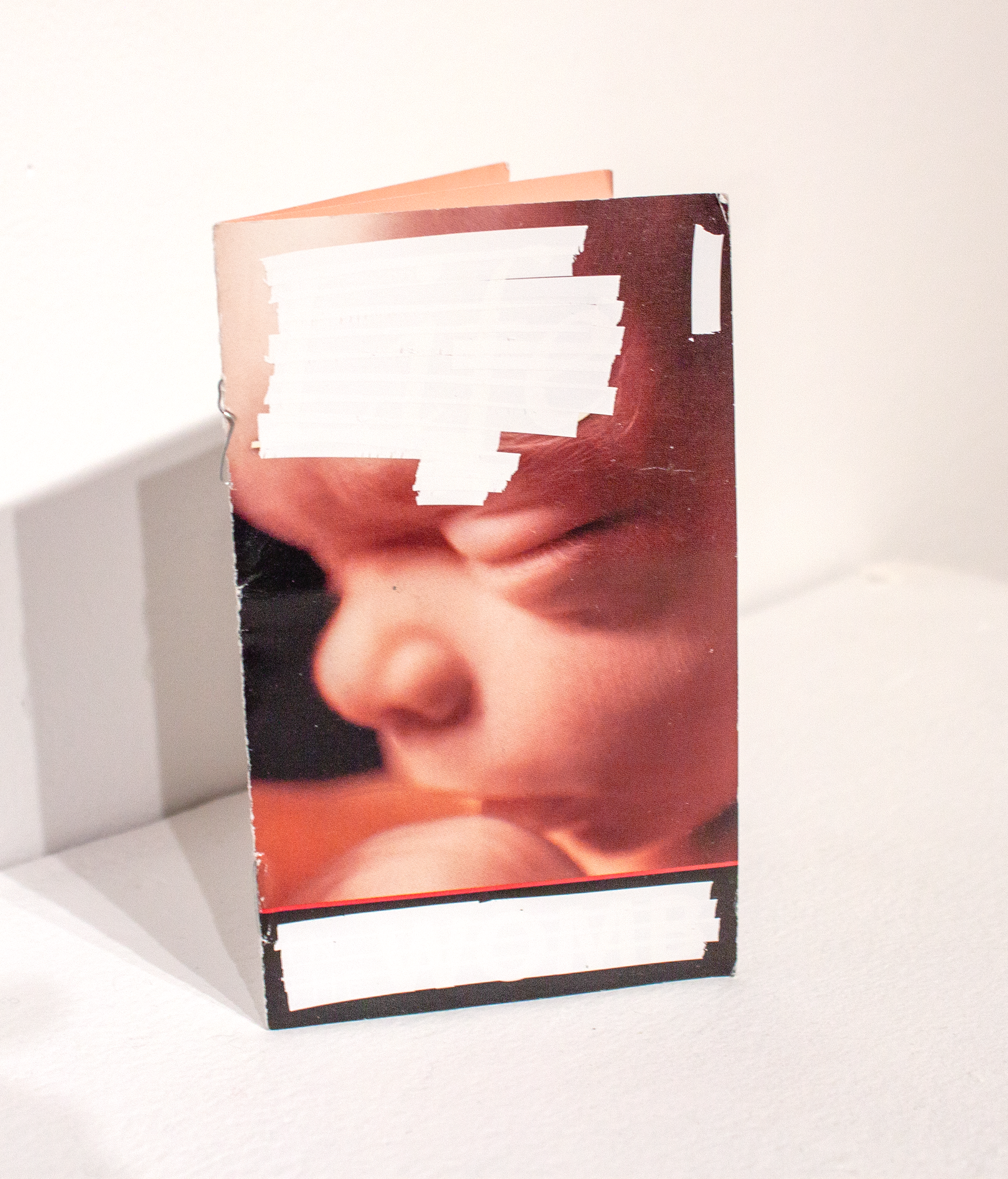 Redacted Pro-Life Pamphlets detail