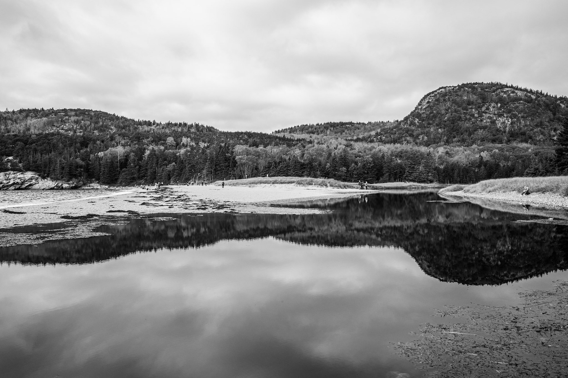 Arcadia National Park