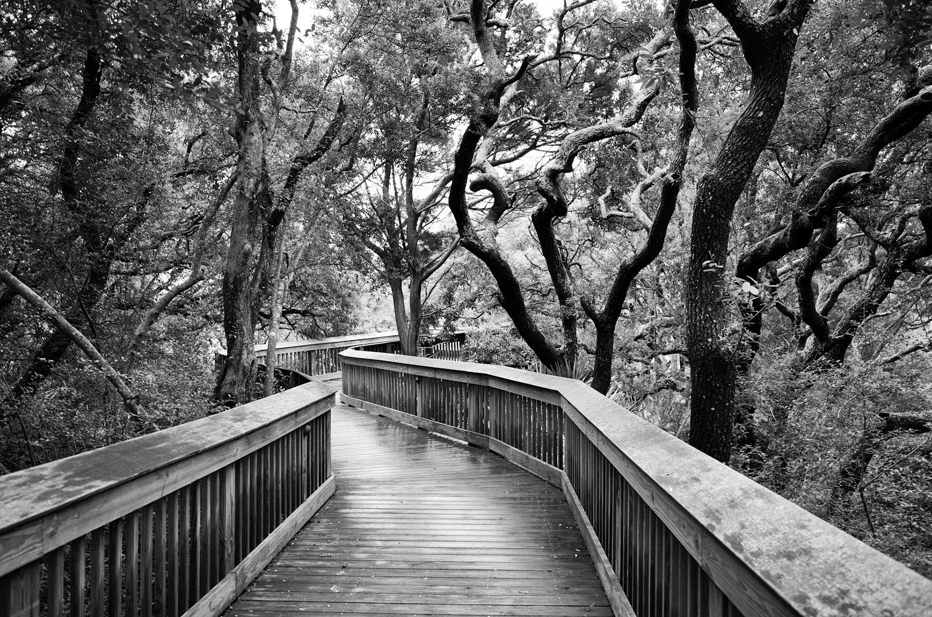 Leads to a spectacular, secluded beack on Jekyl
