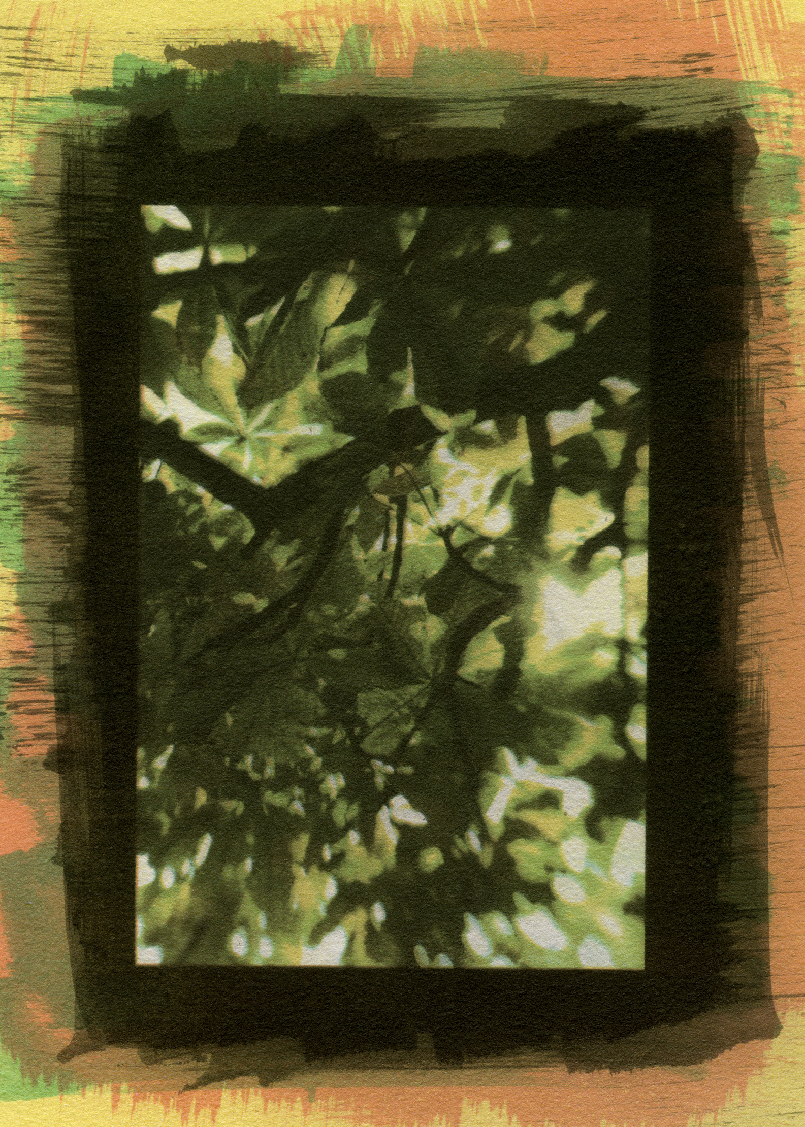Specimen #6734, Gum Bichromate, 7"X5"