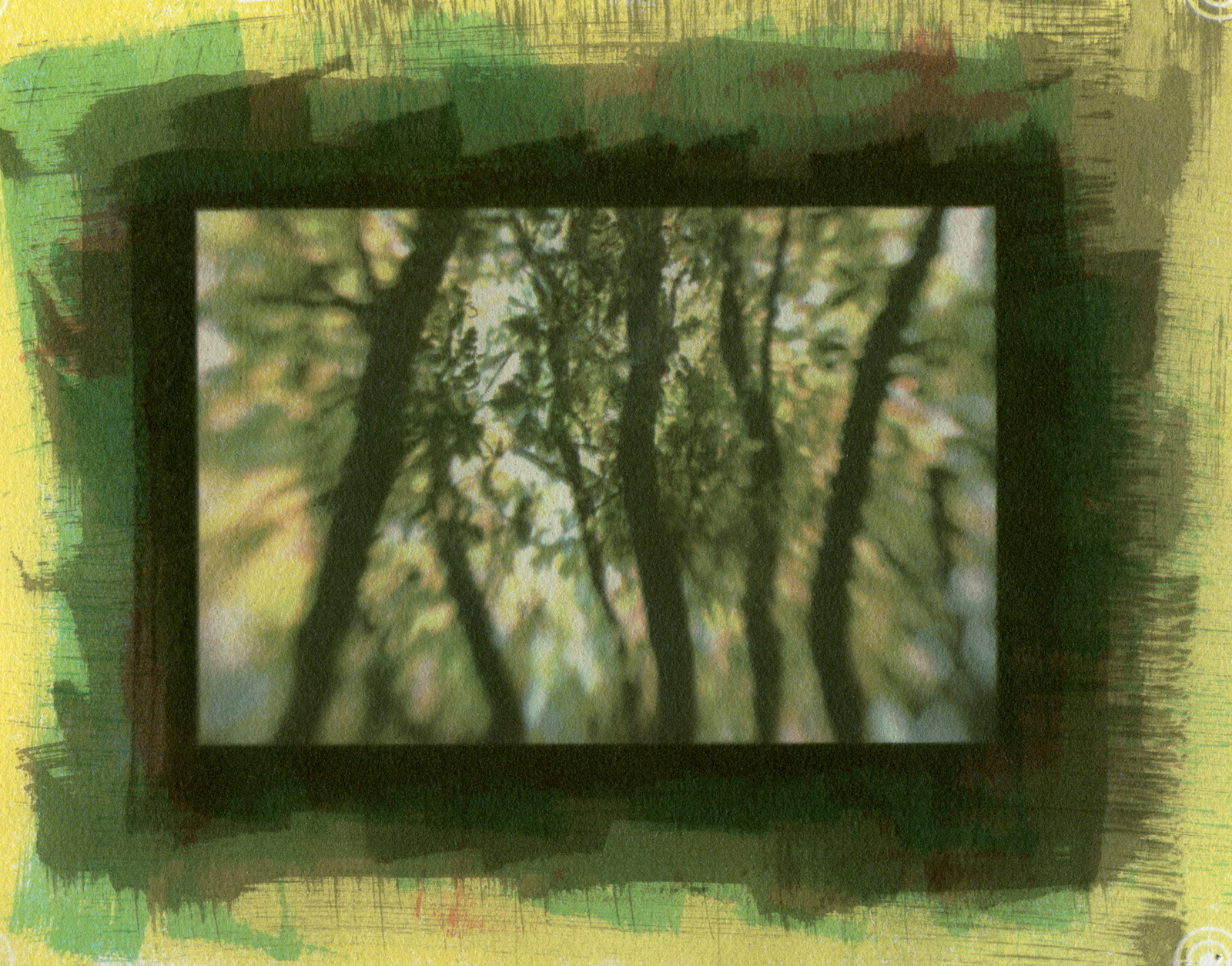Specimen #3781, Gum Bichromate, 7"X5"