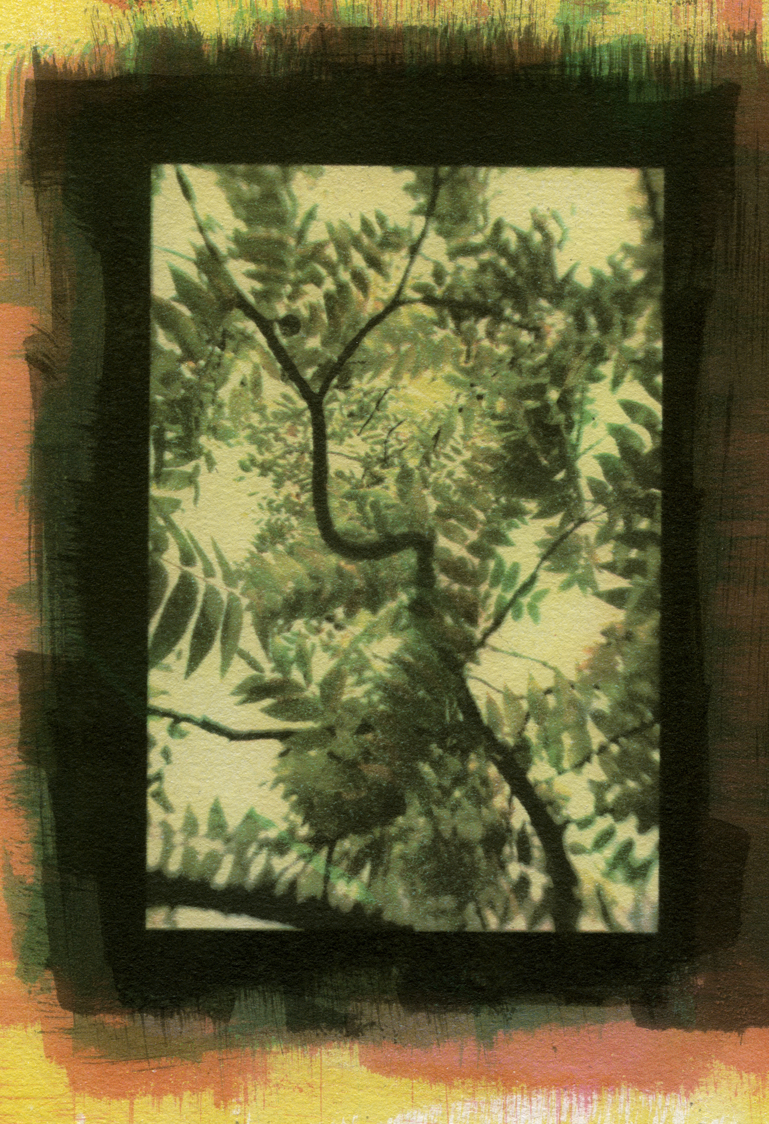 Specimen #1451, Gum Bichromate, 7"X5"