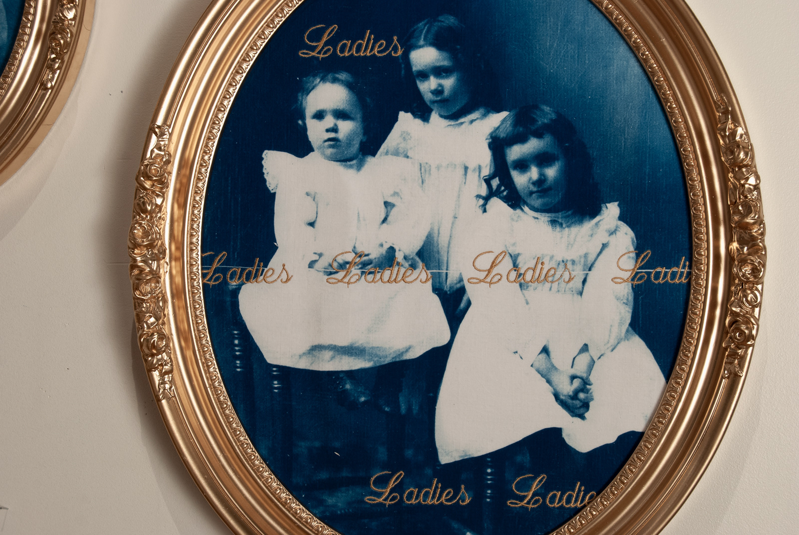 Ladies and Gentlemen...(detail), Cyanotype and Mixed Media, 6'X12'