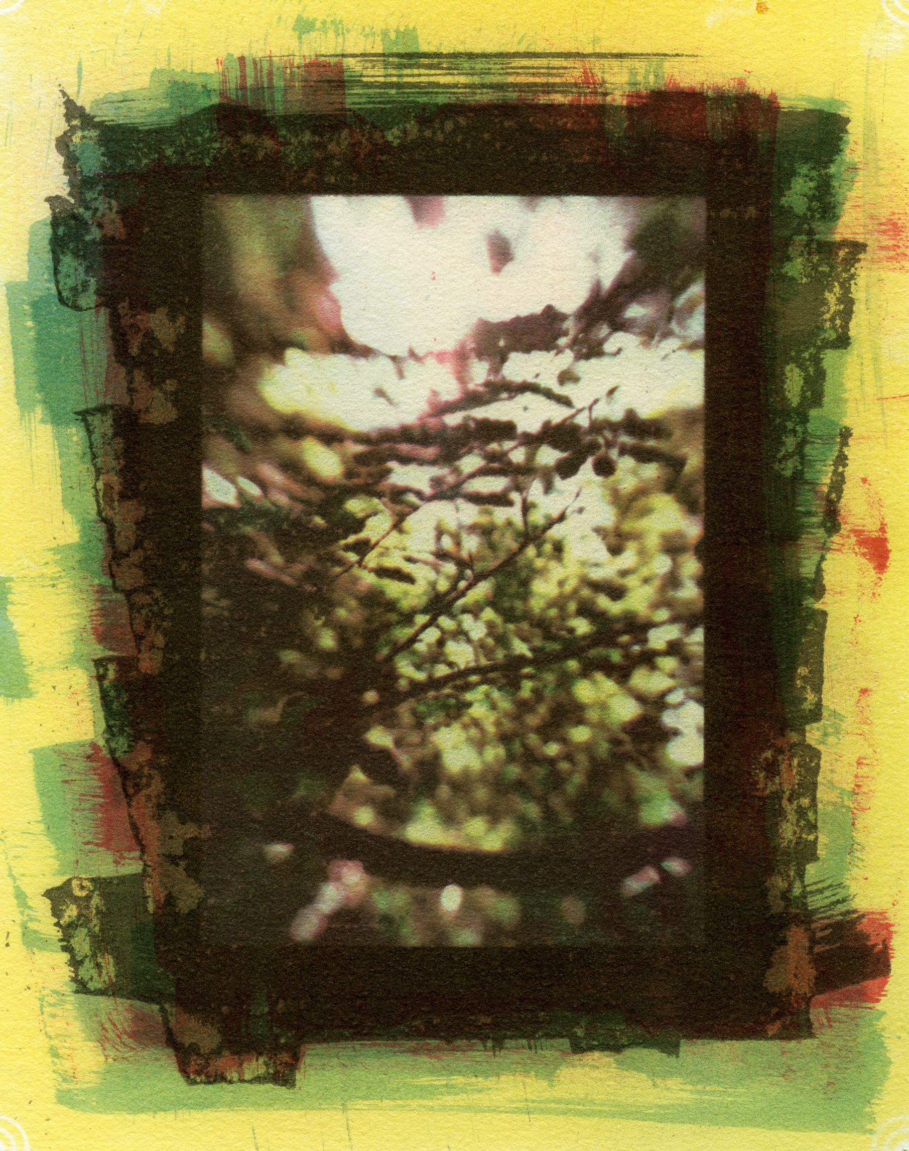 Specimen #4679, Gum Bichromate, 7"X5"