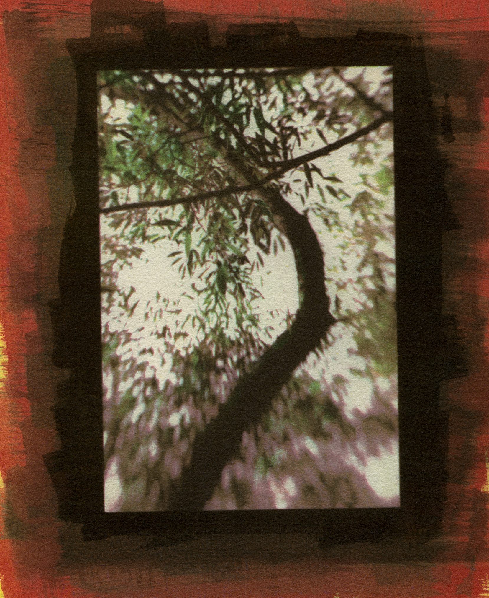 Specimen #3718, Gum Bichromate, 7"X5"