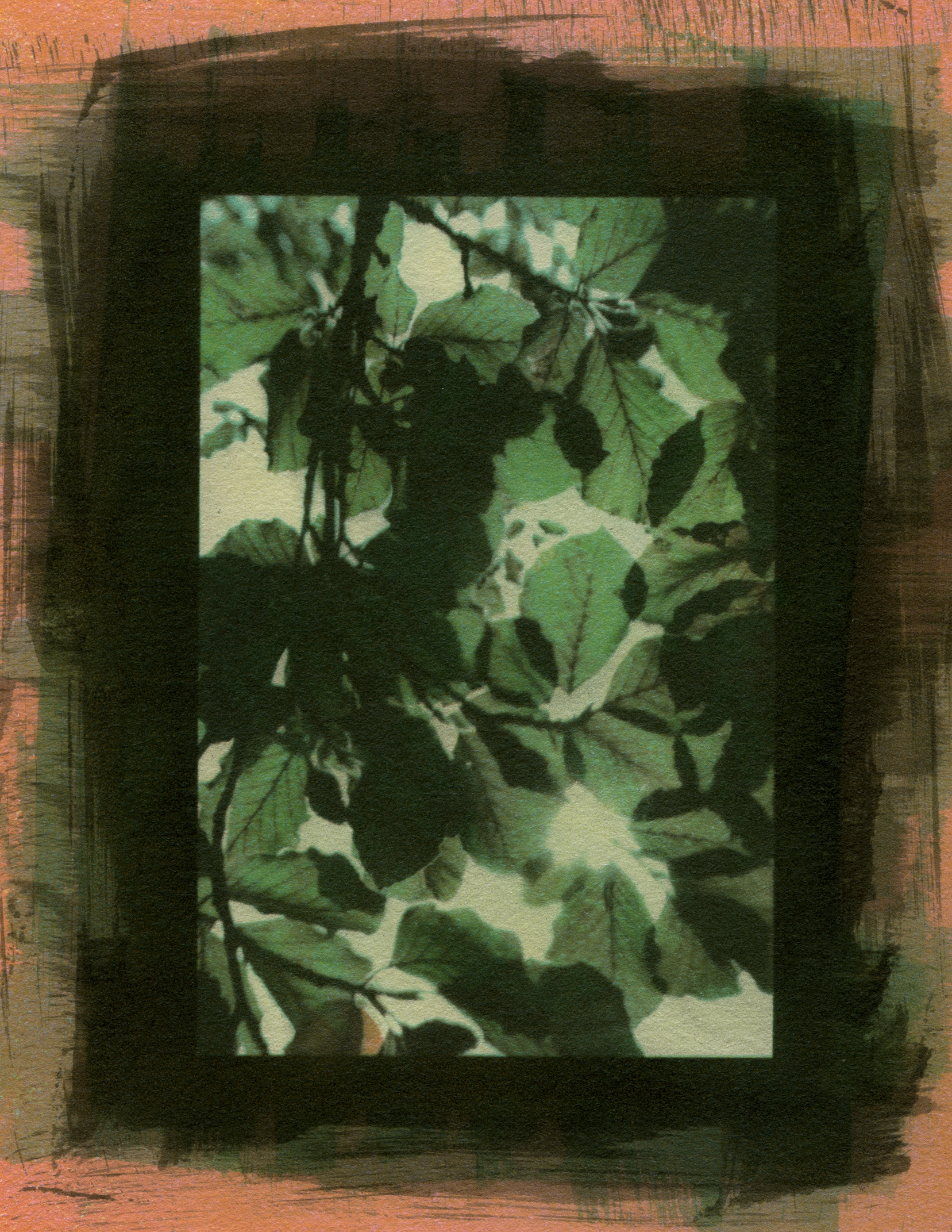 Specimen #3490, Gum Bichromate, 7"X5"