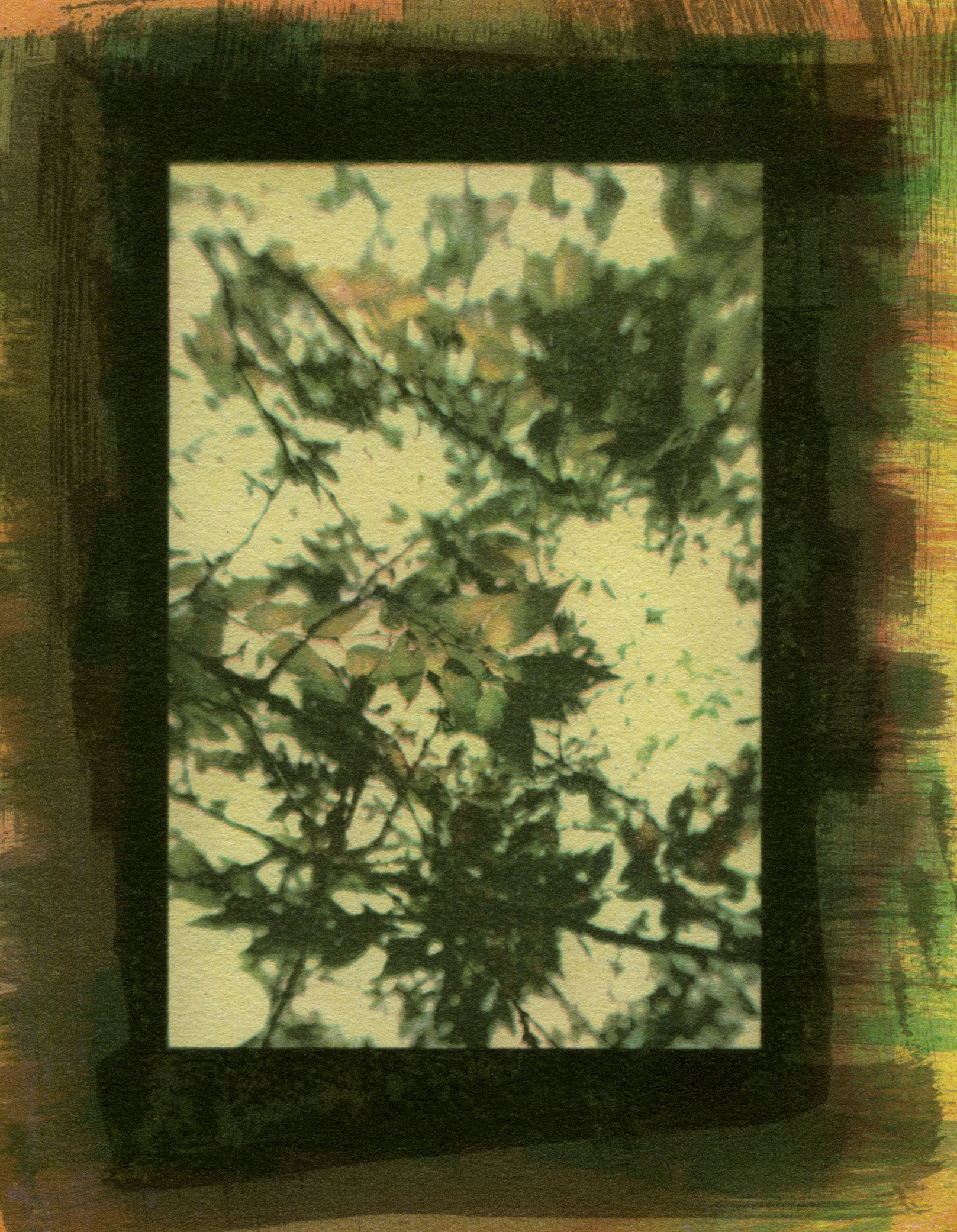 Specimen #3382, Gum Bichromate, 7"X5"