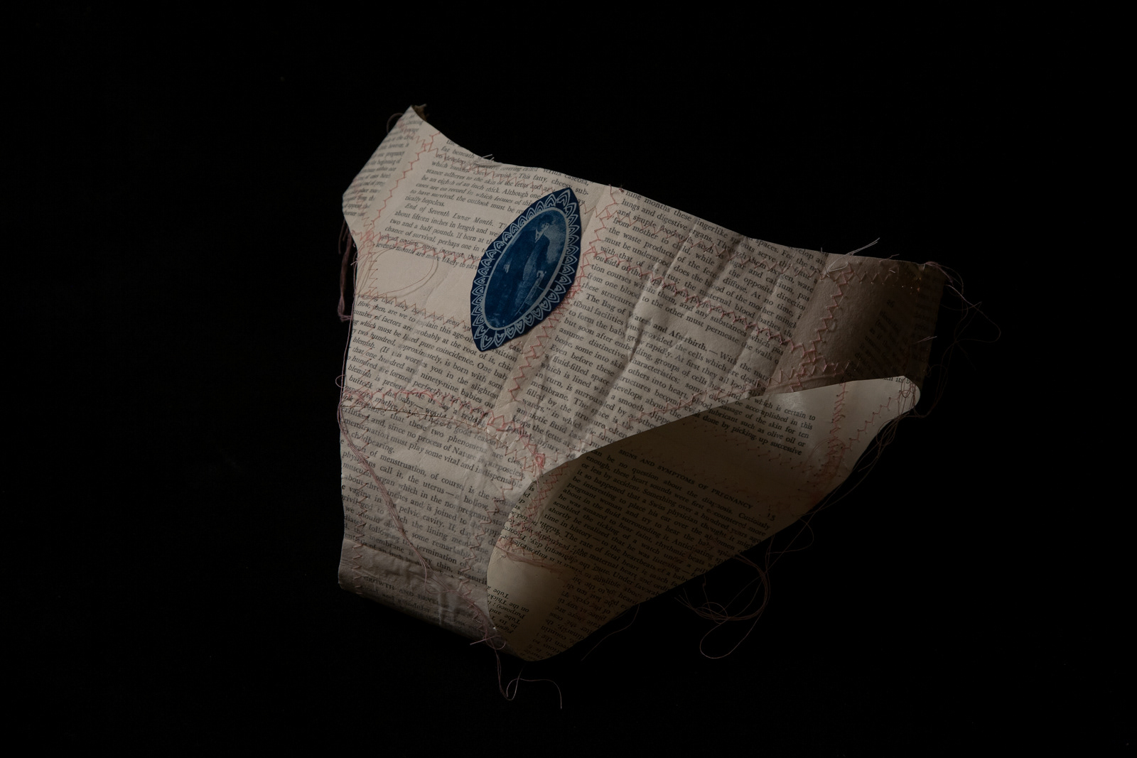 Panties, Cyanotype and Mixed Media, 6"X6"x4"