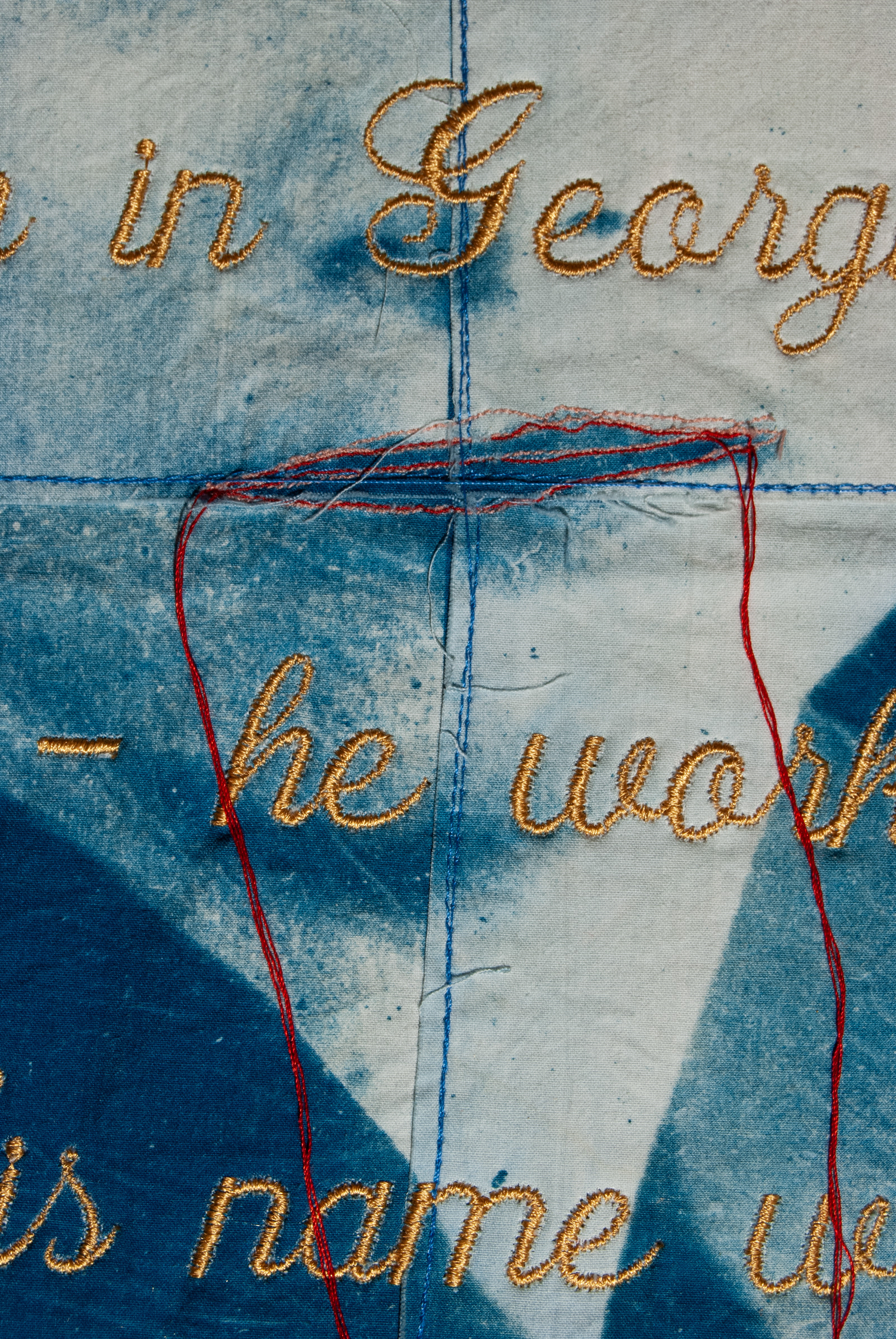 Lustful Lips (detail), Cyanotype and Mixed Media, 36"X24"