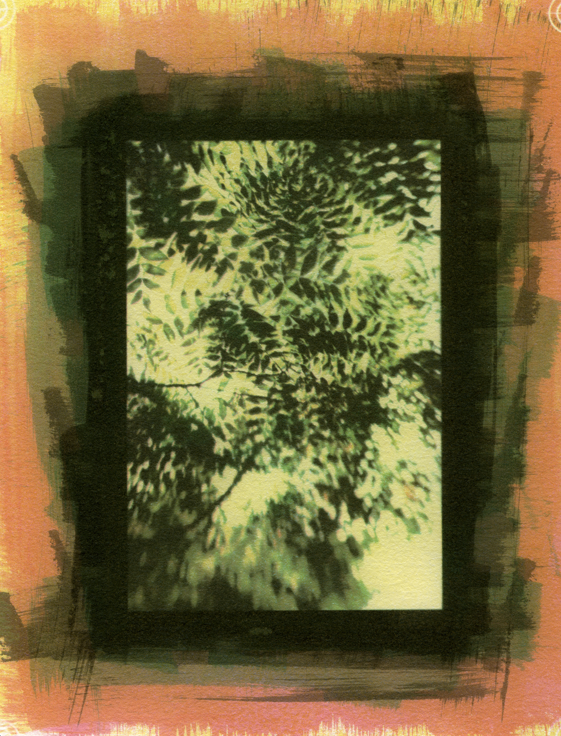 Specimen #4163, Gum Bichromate, 7"X5"