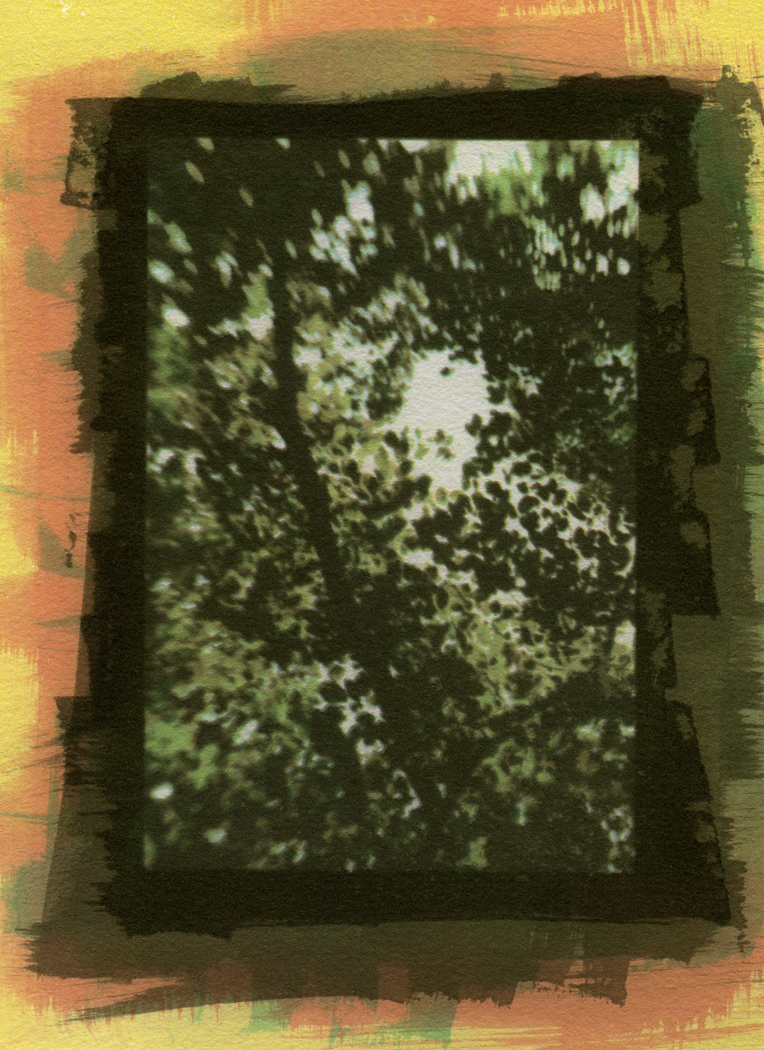 Specimen #2454, Gum Bichromate, 7"X5"