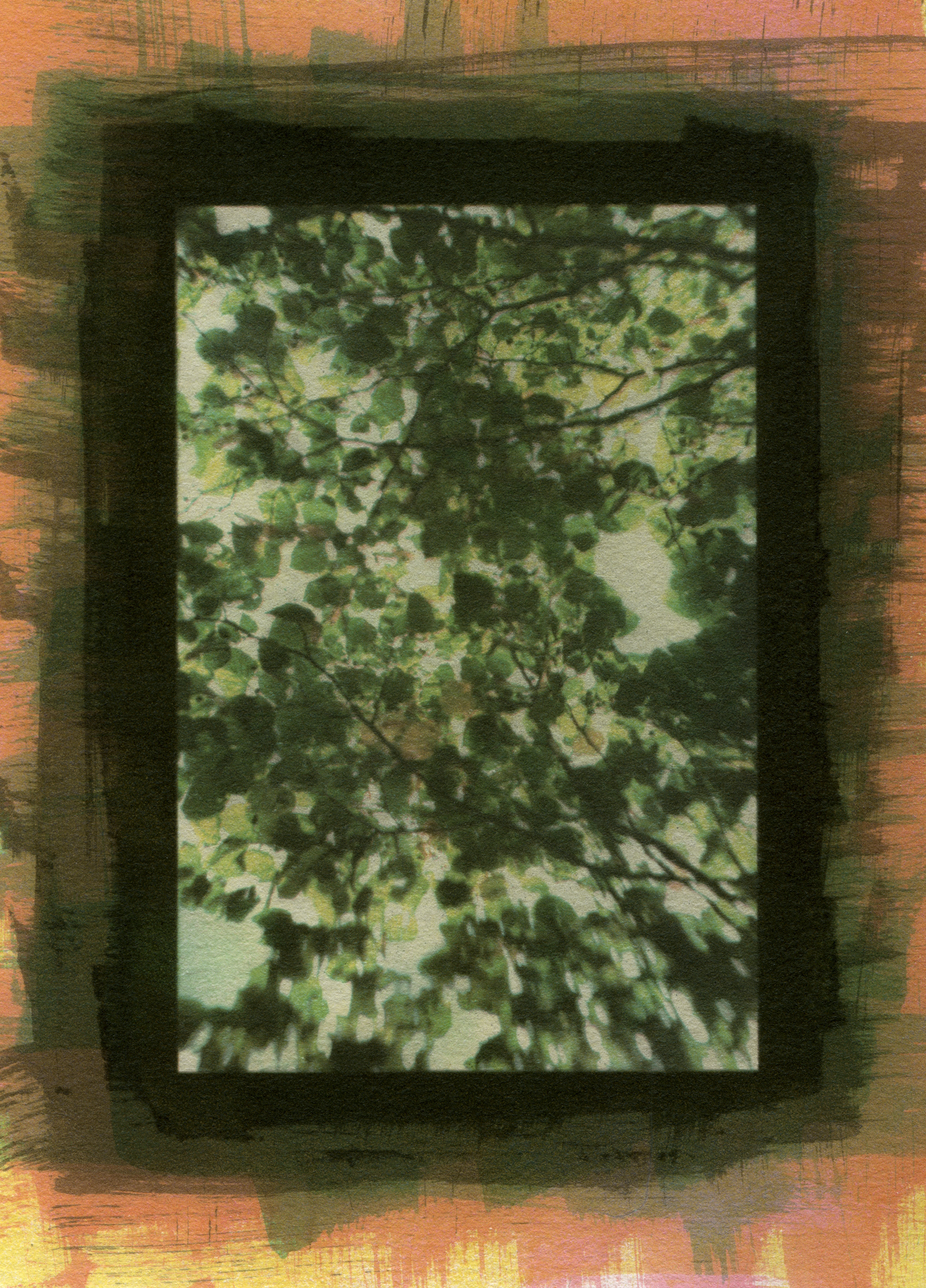 Specimen #6478, Gum Bichromate, 7"X5"