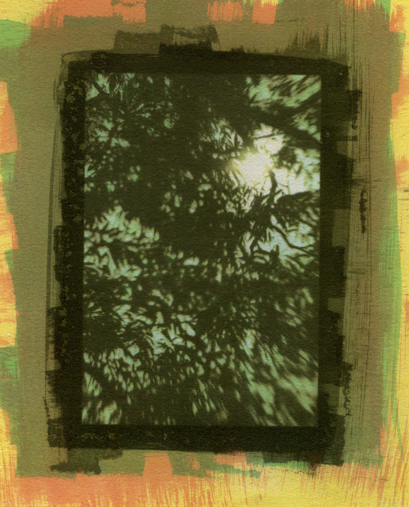 Specimen #1284, Gum Bichromate, 7"X5"