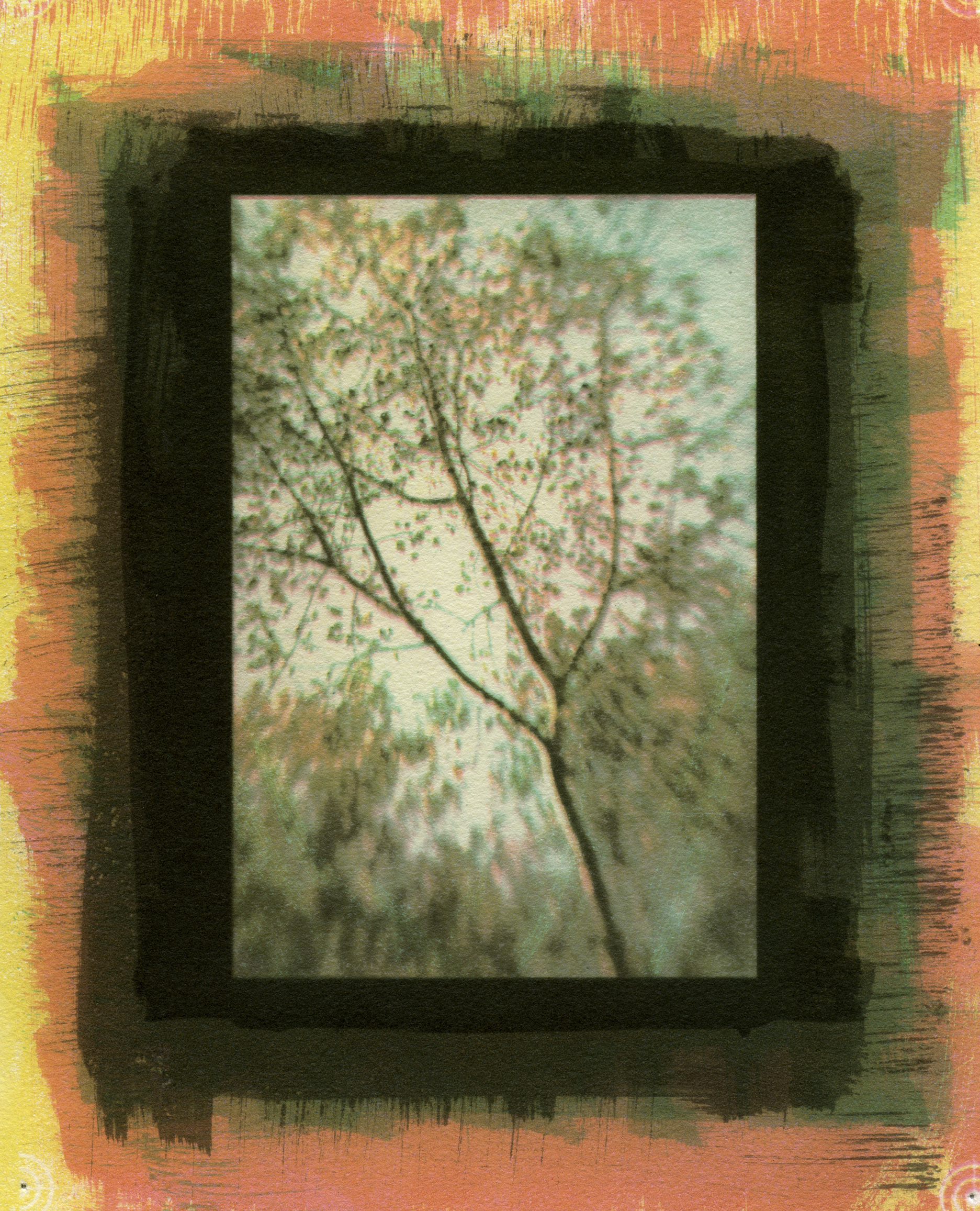 Specimen #6543, Gum Bichromate, 7"X5"