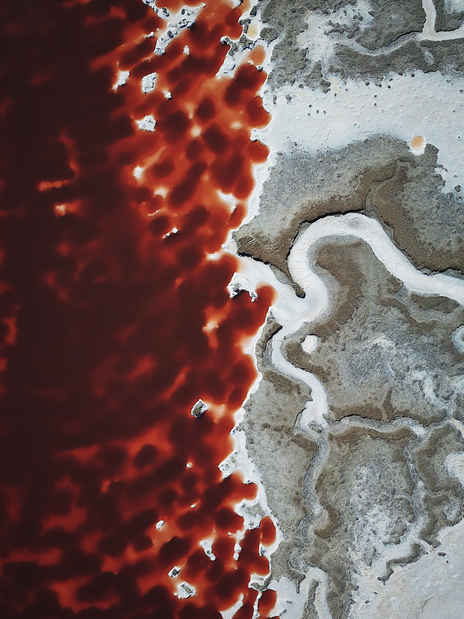 Salt flats and algae – Alviso, CA, USA