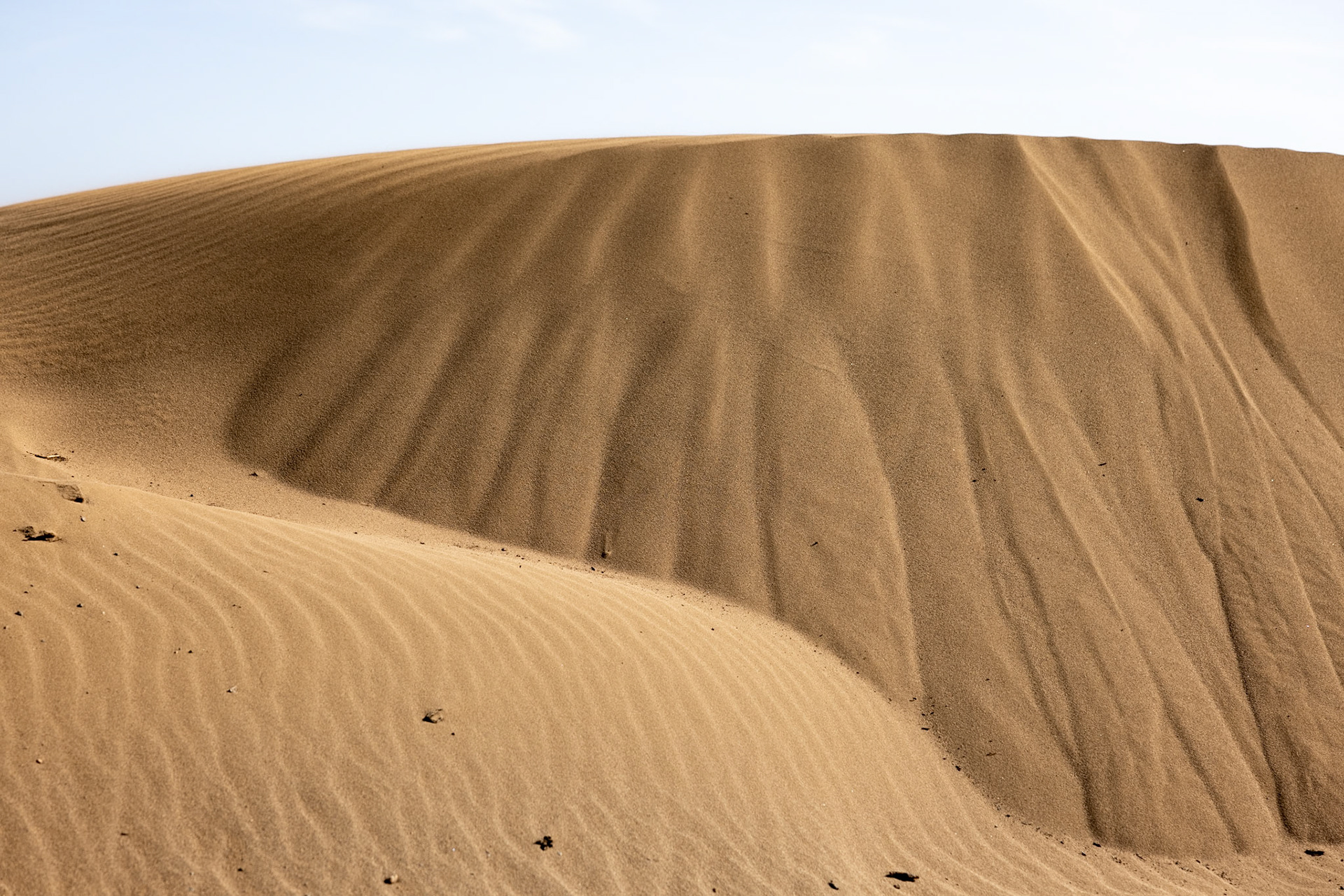 Sand Dune – Point Reyes, CA