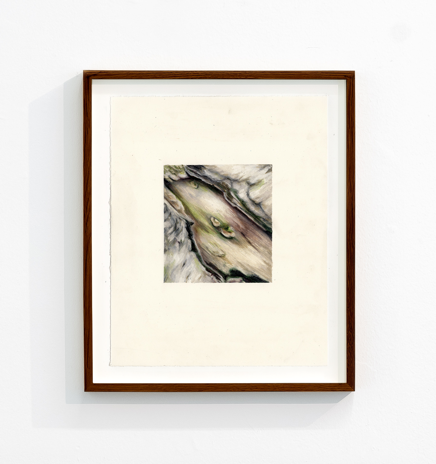 Verzachtende vergankelijkheid, 2023, 24 x 30 cm