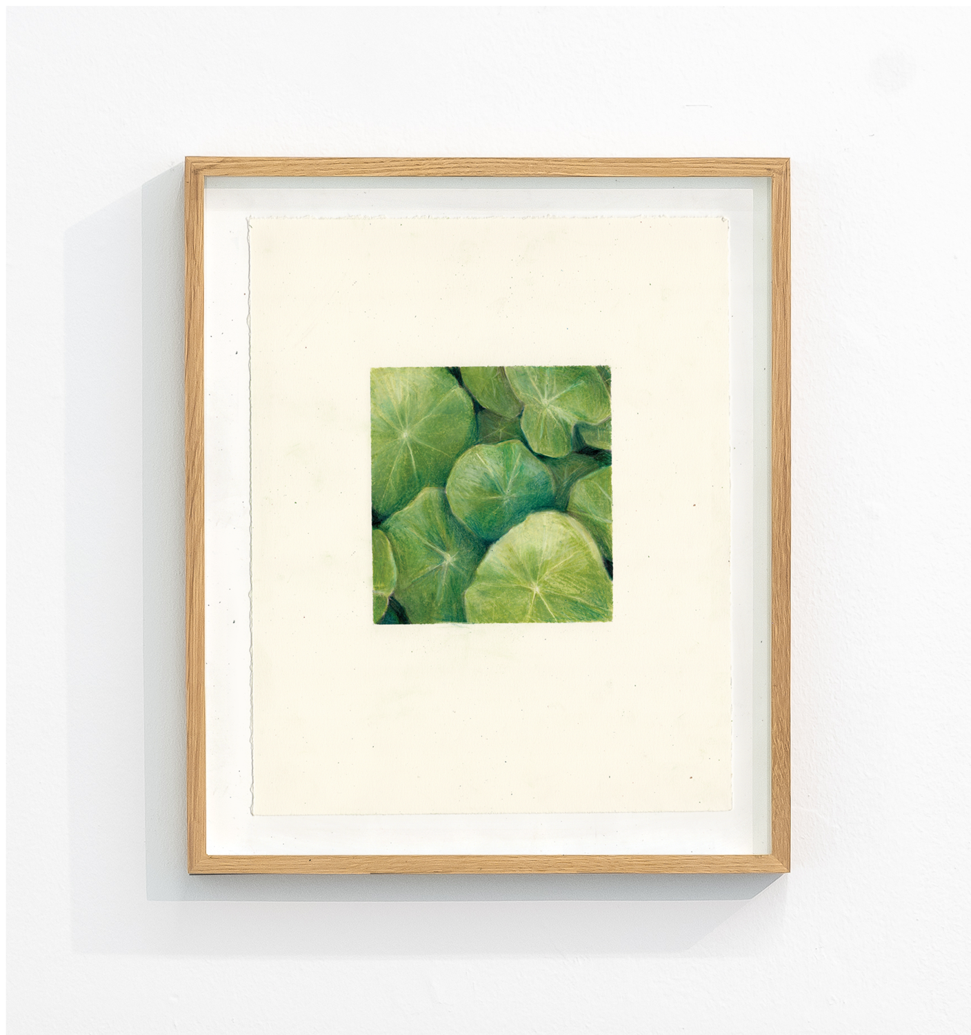 Groen verveelt nooit, 2023, 24 x 30 cm