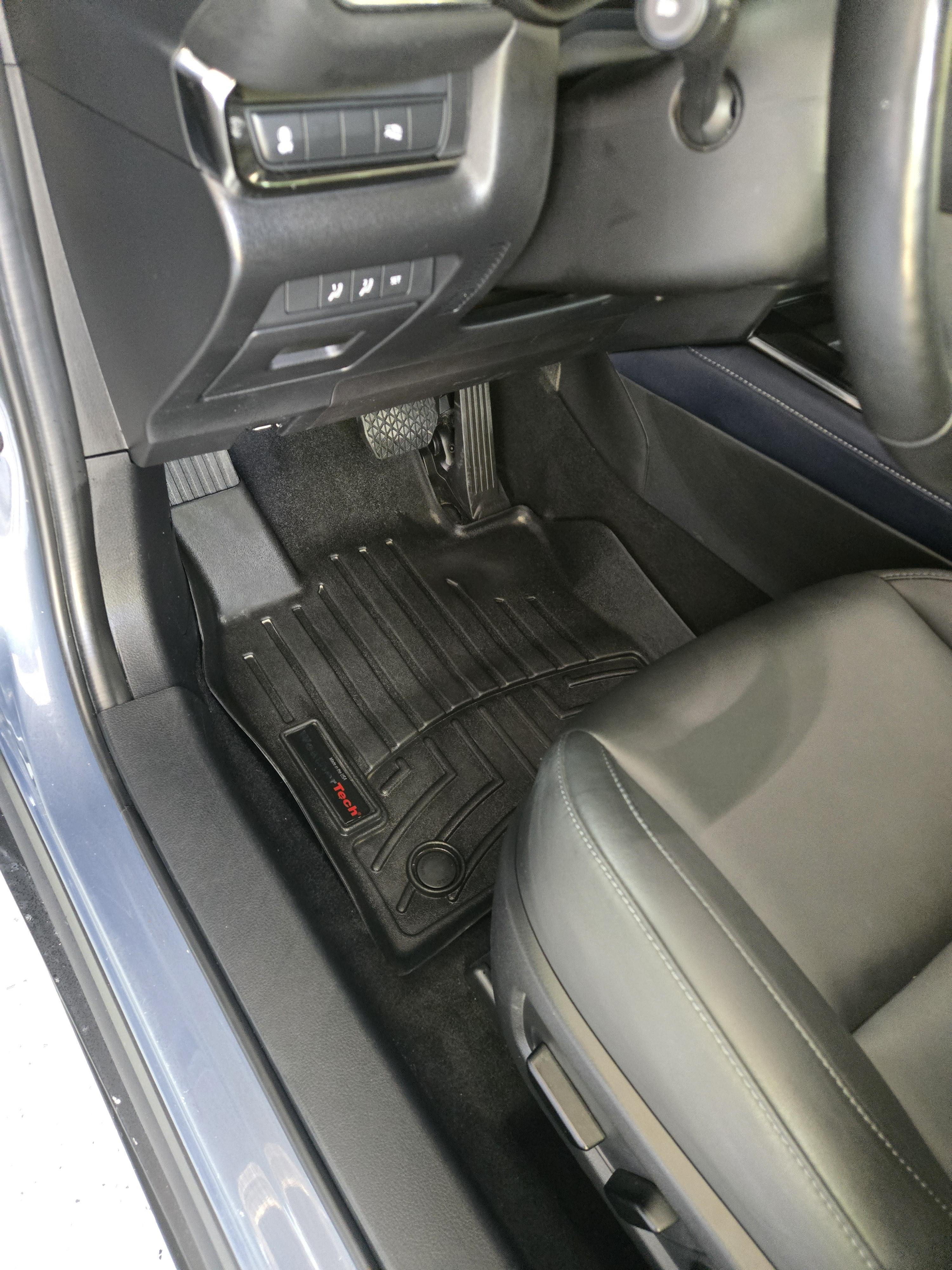 Steam Cleaning Carpets and Mats