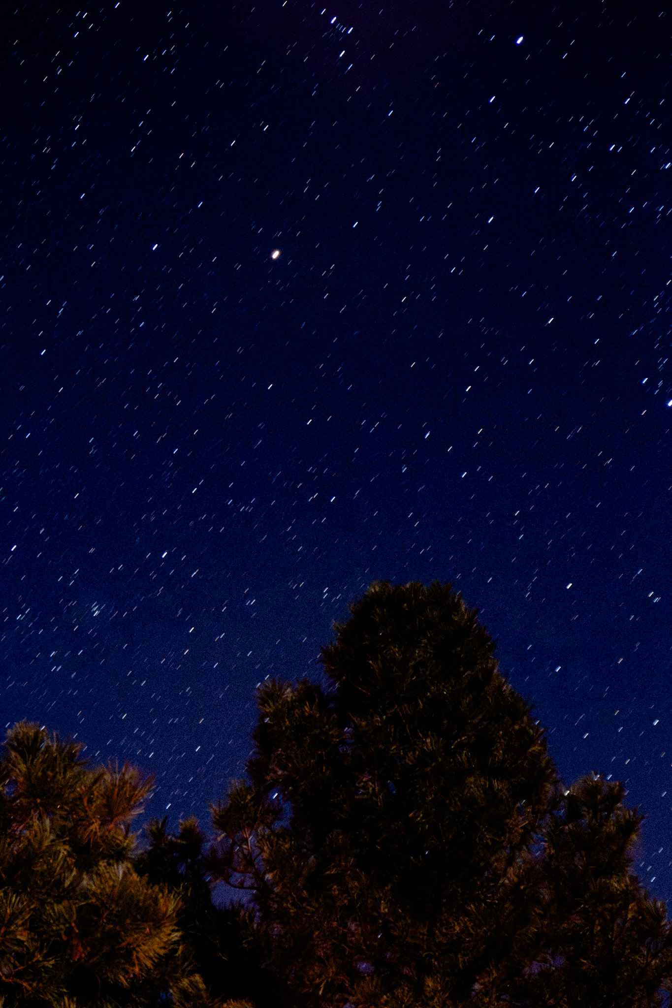 Grand Canyon Natl. Park, 2023