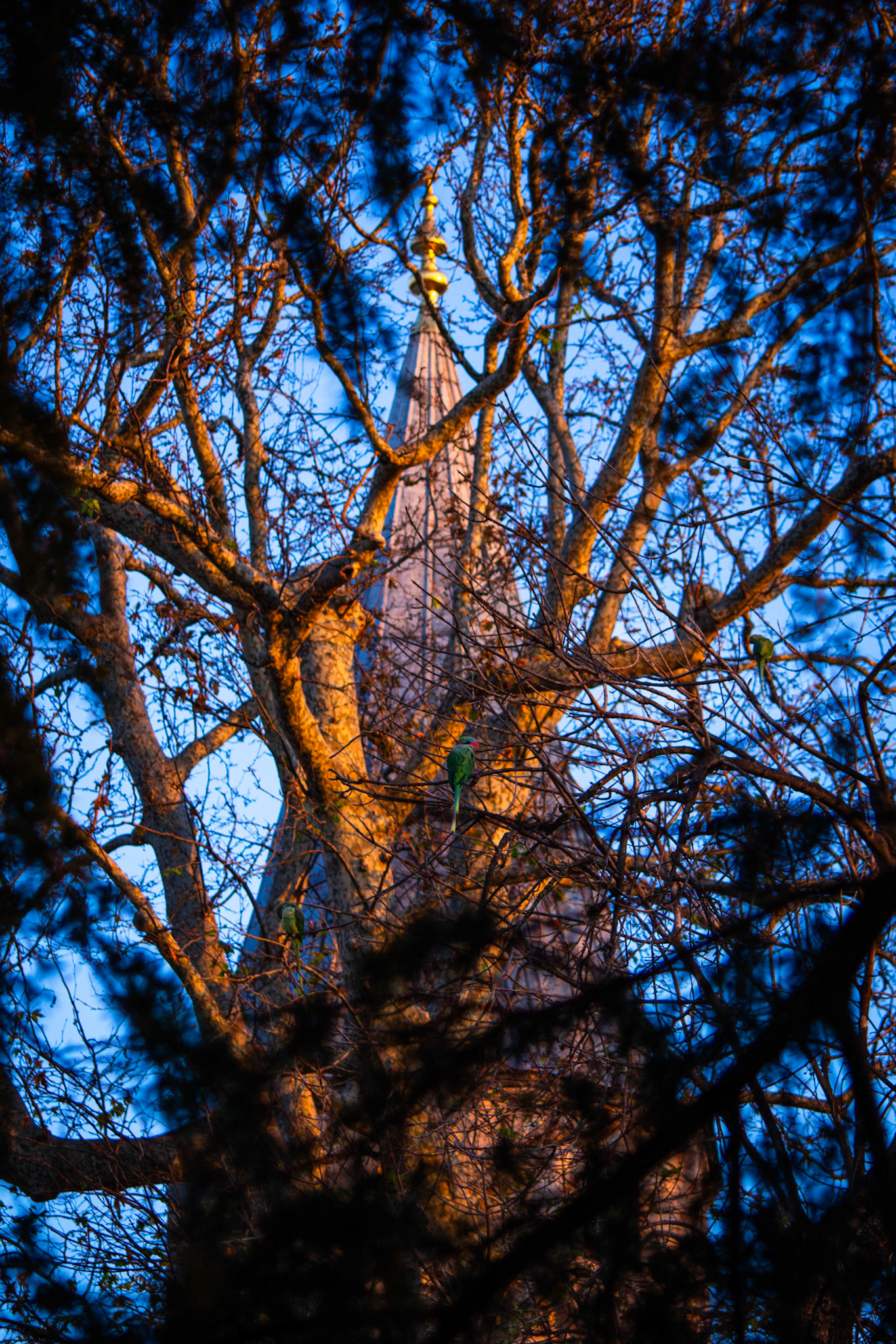 Topkapi Palace, 2023