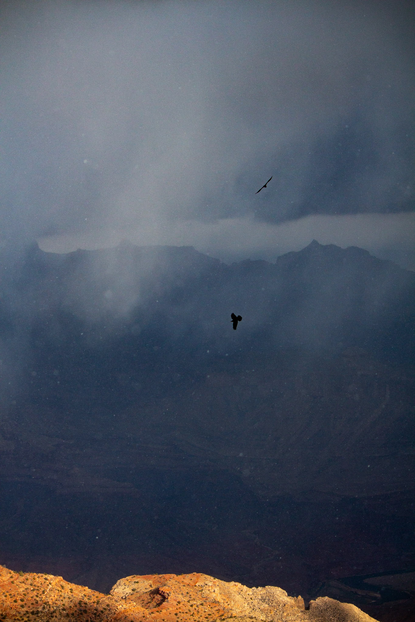 Grand Canyon Natl. Park, 2023